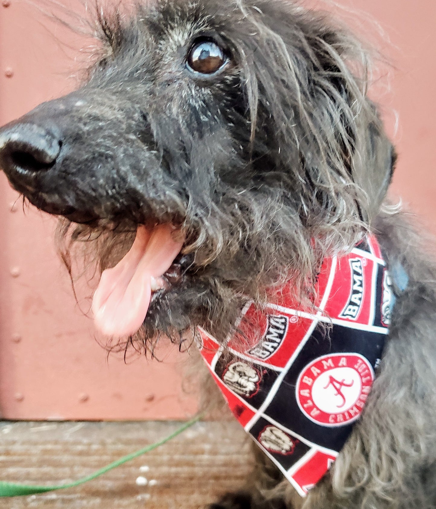 University of Alabama Crimson Tide block Clip on Dog Bandana With Buckle Pet Cat Bandanna Scarf ncaa Handmade to Order
