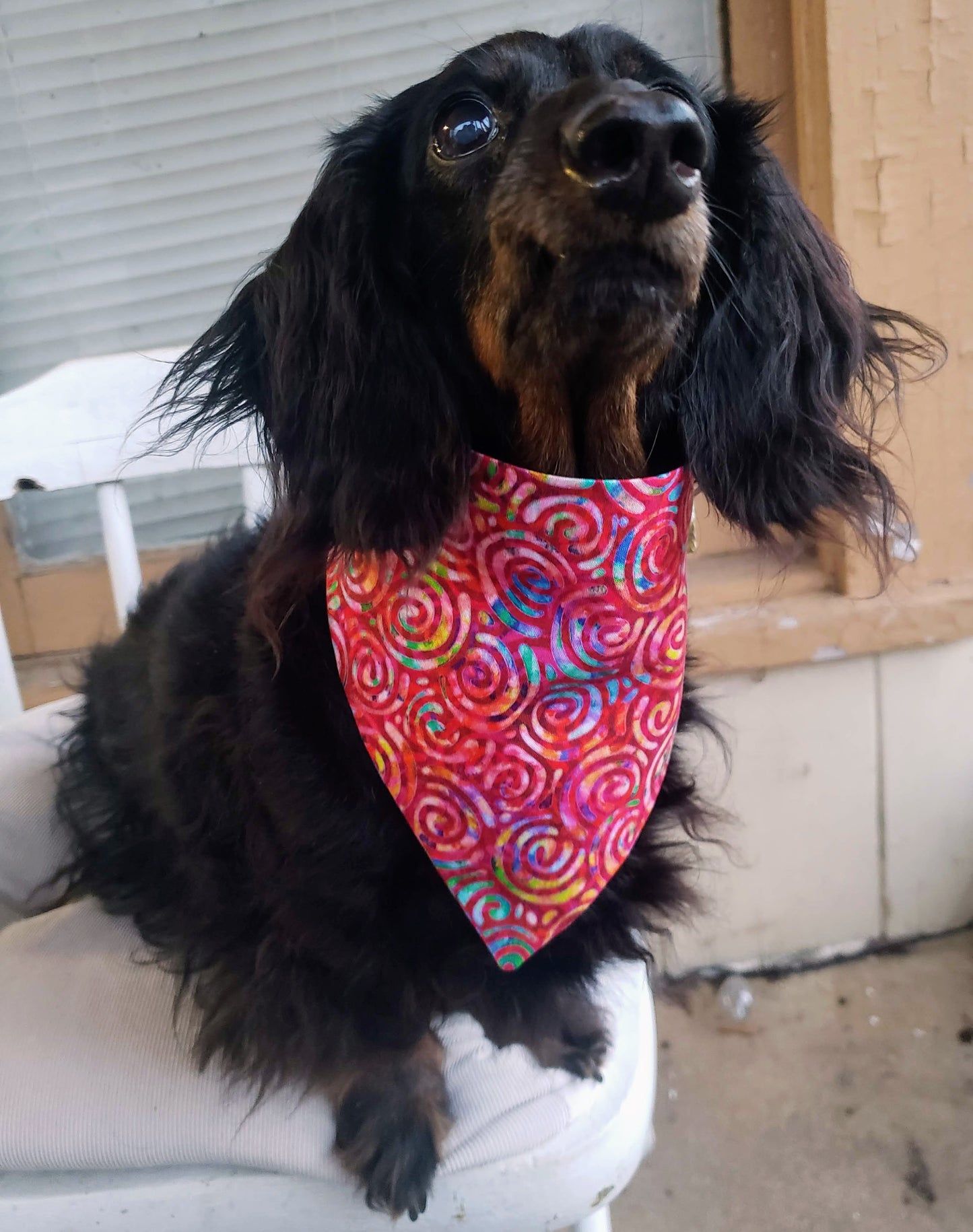 Clip on Dog Bandana With Buckle Pet Cat Bandanna Scarf Color of the Year COTY 2023 Magenta Circles Spirals Rainbow Pink Colorful Fun Handmade to Order