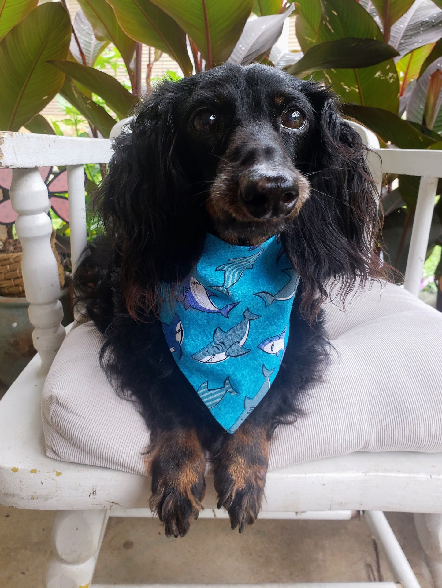 Clip on Dog Bandana With Buckle Pet Cat Bandanna Scarf Sea Sailing Sharks Ocean Beach Handmade to Order
