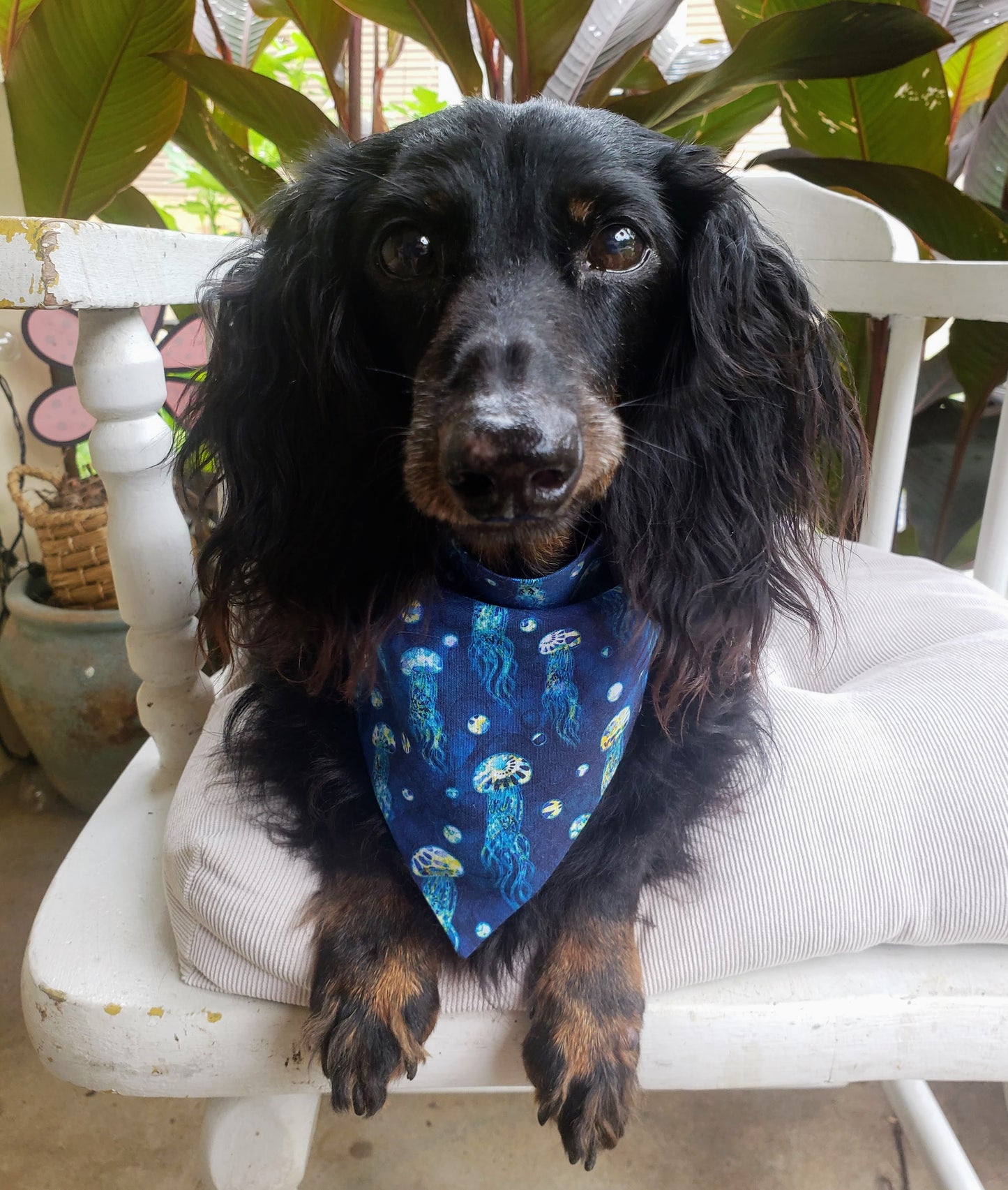 Clip on Dog Bandana With Buckle Pet Cat Bandanna Scarf Sea Sailing Jellyfish Ocean Beach Handmade to Order