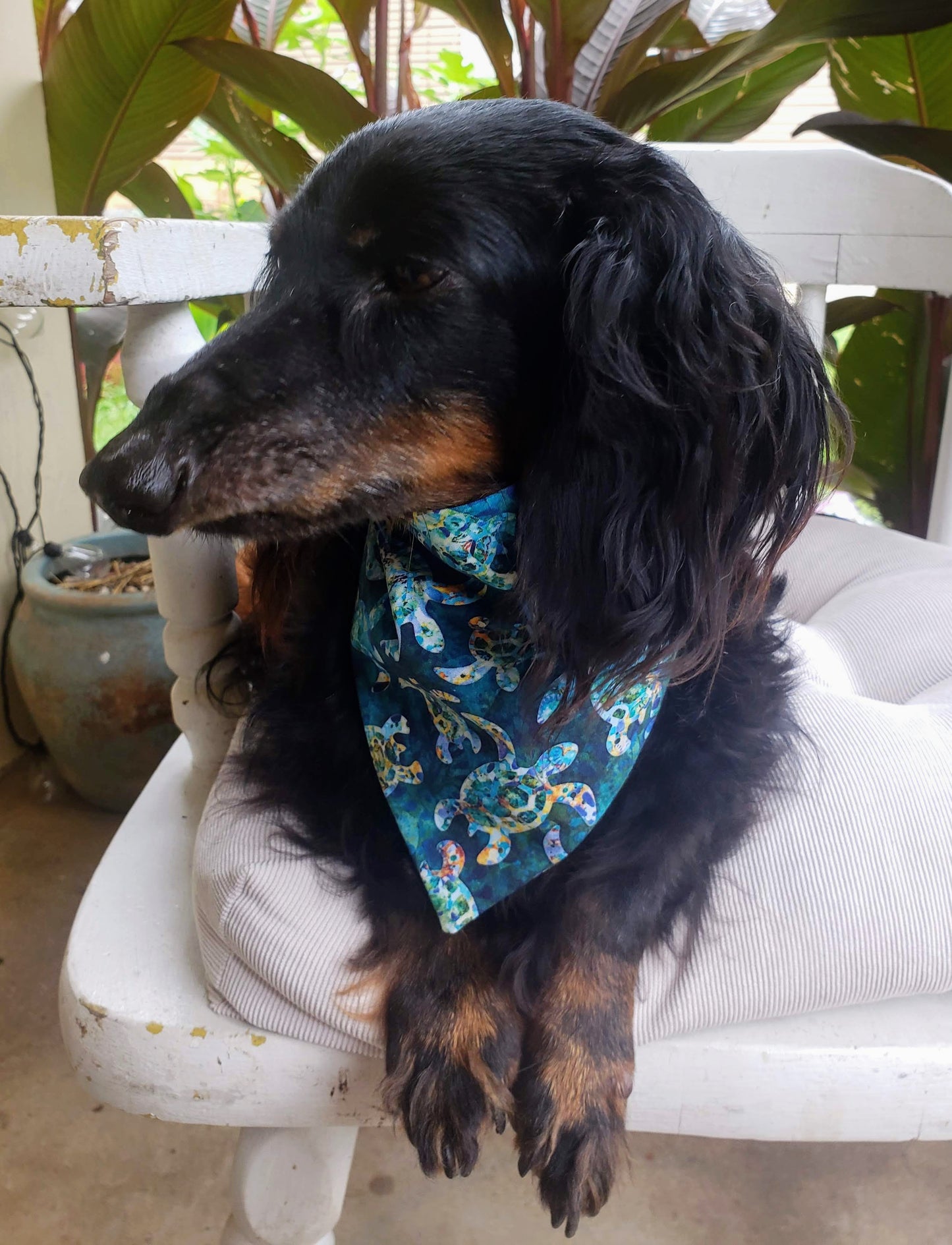 Clip on Dog Bandana With Buckle Pet Cat Bandanna Scarf Sea Turtle Sailing Ocean Beach Handmade to Order