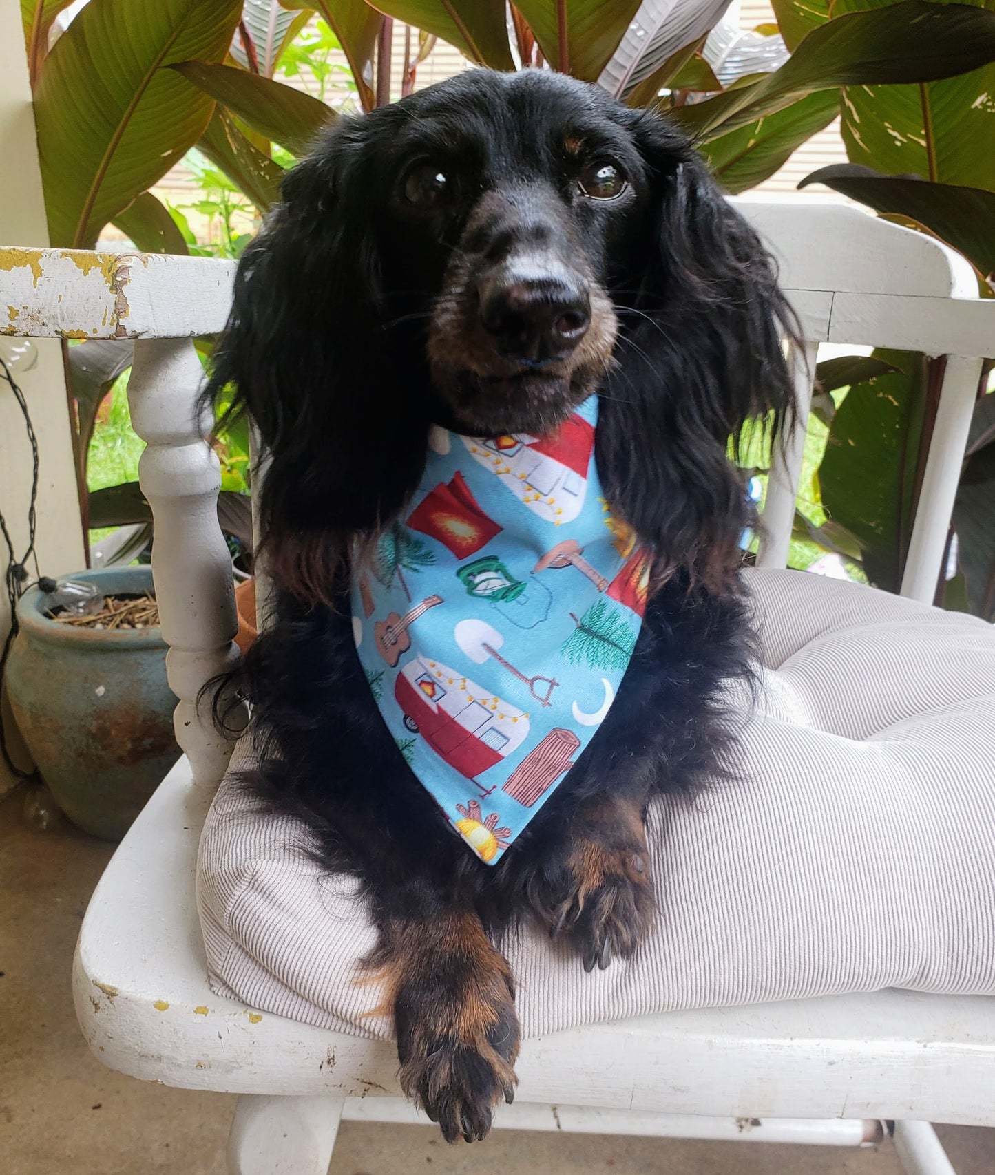 Clip on Dog Bandana With Buckle Pet Cat Bandanna Scarf Camping Smores RVs Tents Camp Handmade to Order