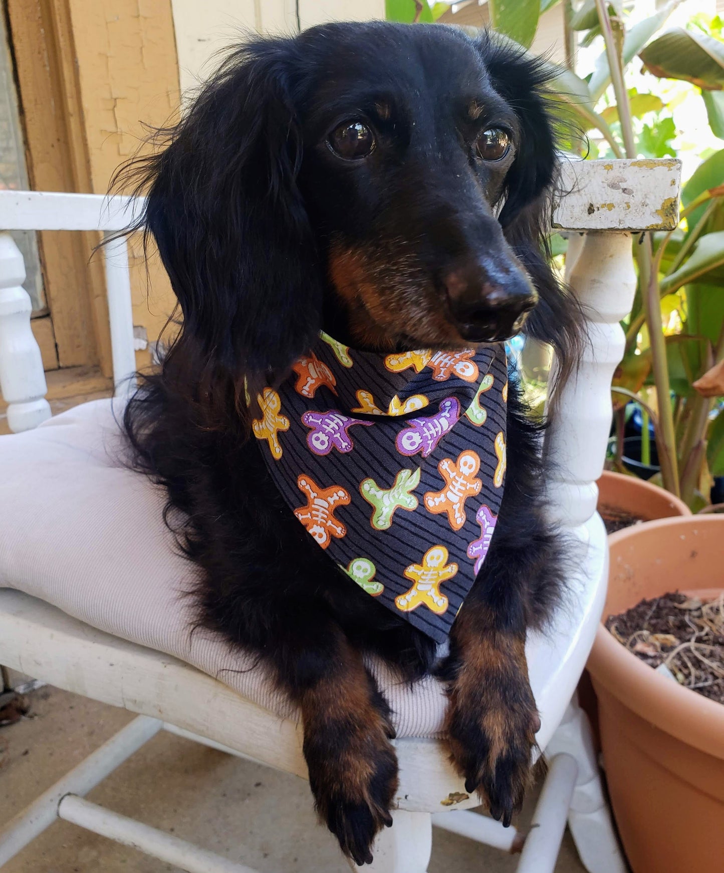 Skeleton Cookies Colorful Halloween Fall Autumn Harvest Clip on Dog Bandana With Buckle Pet Cat Bandanna Handmade to Order