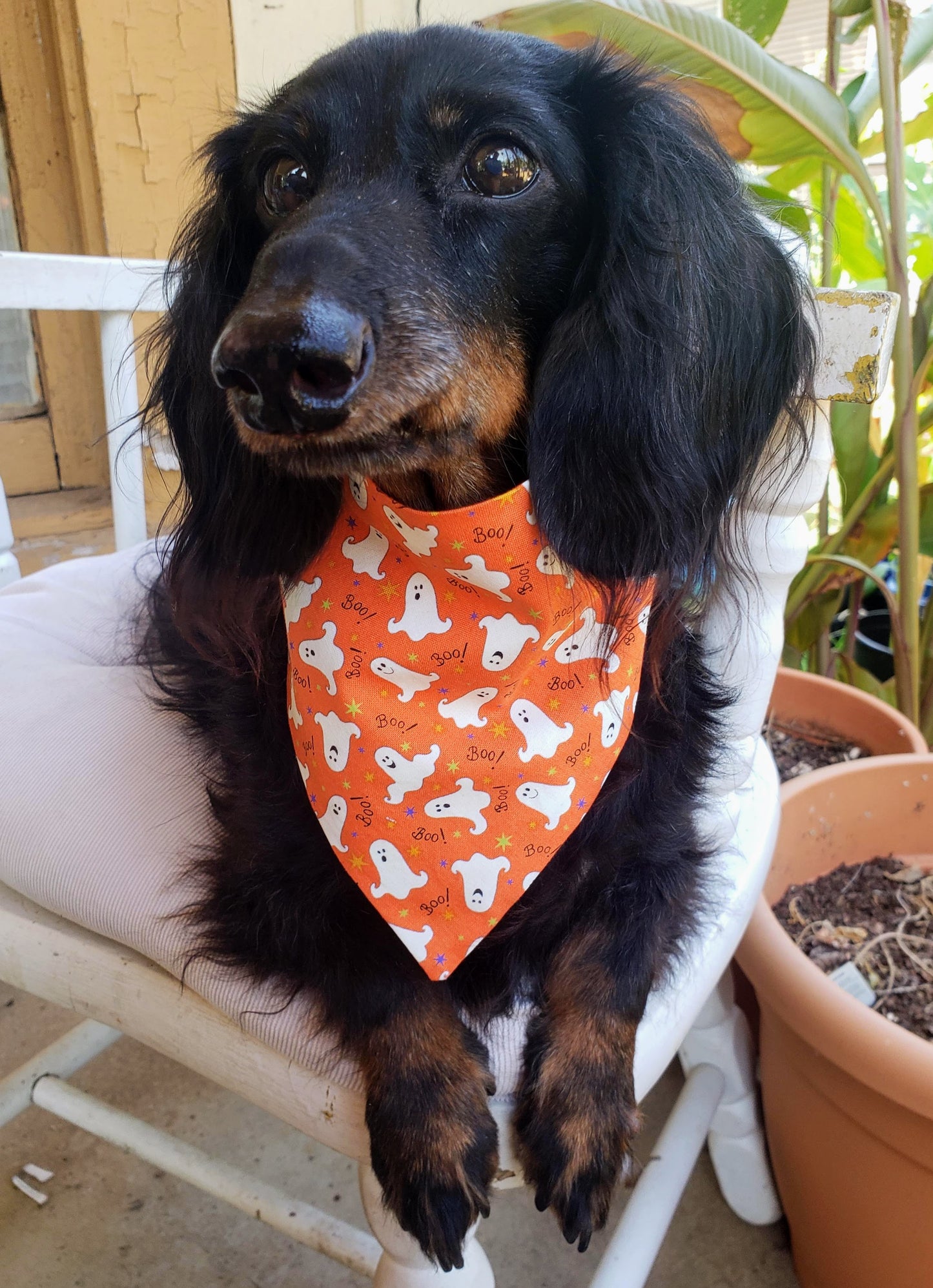 Glow in the Dark Ghosts on Orange Fall Autumn Halloween Clip on Dog Bandana With Buckle Pet Cat Bandanna Handmade to Order