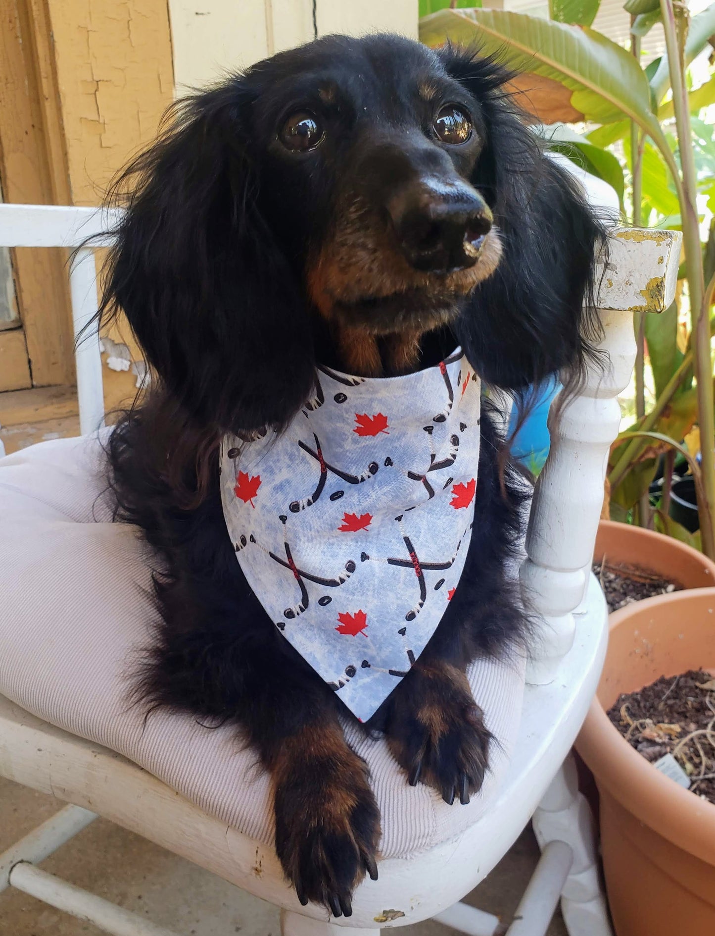 Clip on Dog Bandana With Buckle Pet Cat Bandanna Hockey Canada Canadien USA Sticks Pucks Maple Leaves Handmade to Order