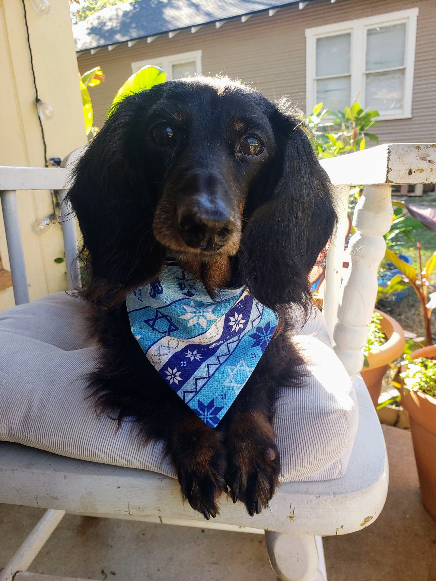 Clip on Dog Bandana With Buckle Pet Cat Bandanna Scarf Hanukkah Chanukkah Blue Star of David Dreidil Snowflake Sweater Print Winter Holiday Handmade to Order