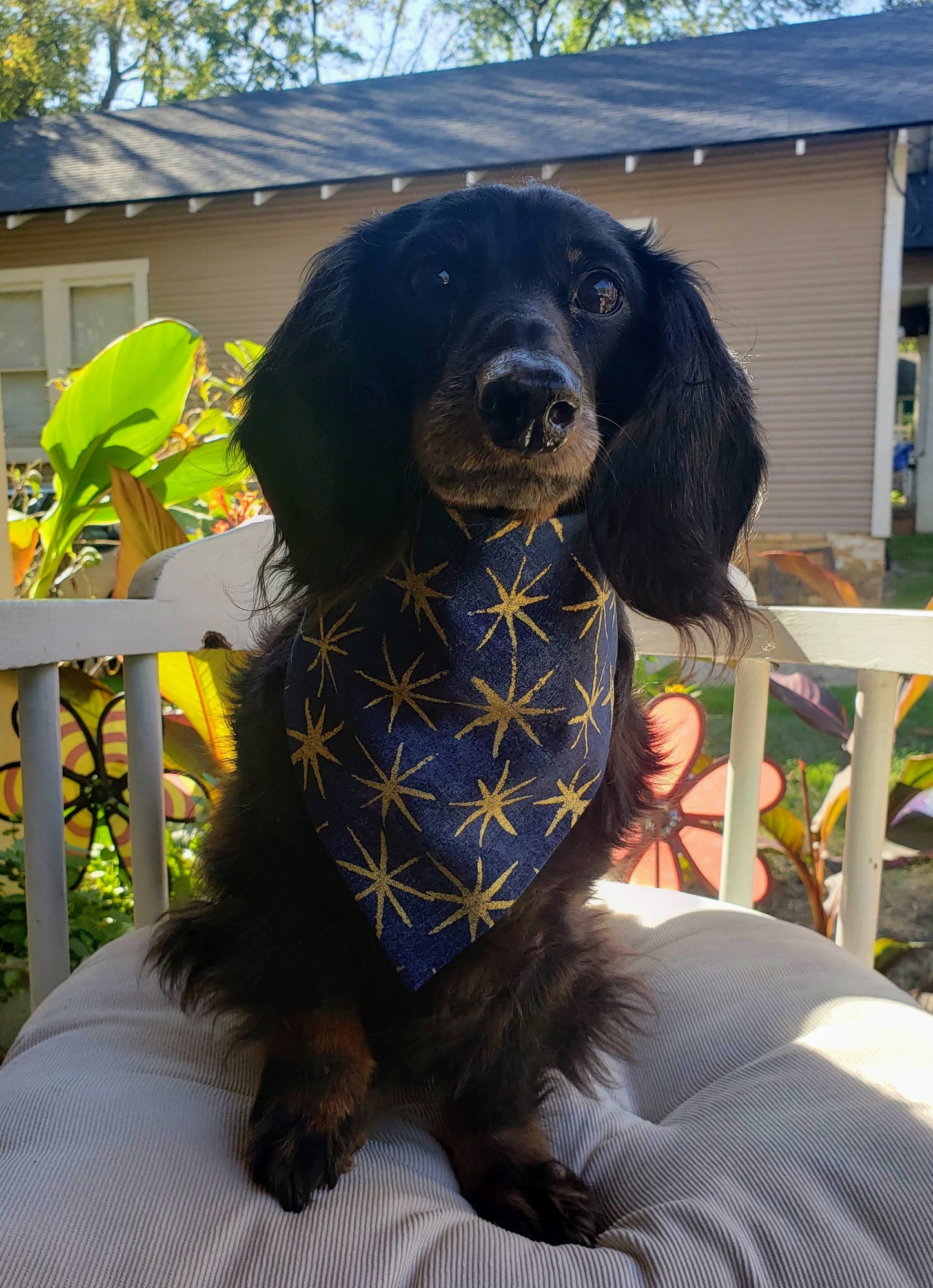 Clip on Dog Bandana With Buckle Pet Cat Bandanna Scarf Blue Christmas North Star Gold Twinkle Holiday Winter Handmade to Order