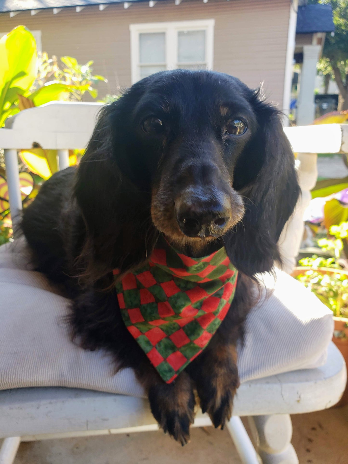 Clip on Dog Bandana With Buckle Pet Cat Bandanna Scarf Christmas Red Green Check Checkerboard Batik Holiday Winter Handmade to Order
