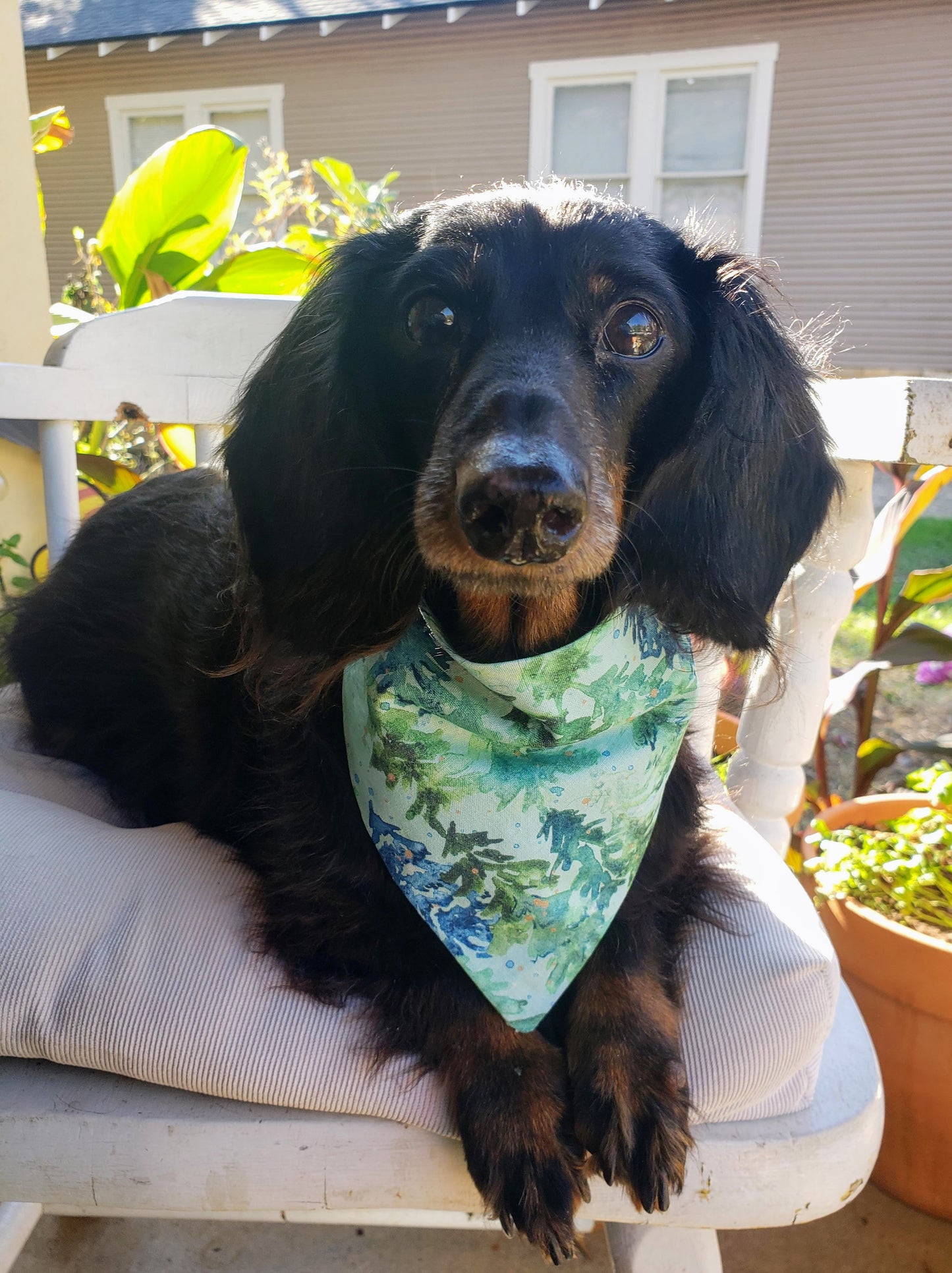 Clip on Dog Bandana With Buckle Pet Cat Bandanna Scarf Green Blue Winter Christmas Trees Forest Holiday Snowfall Handmade to Order