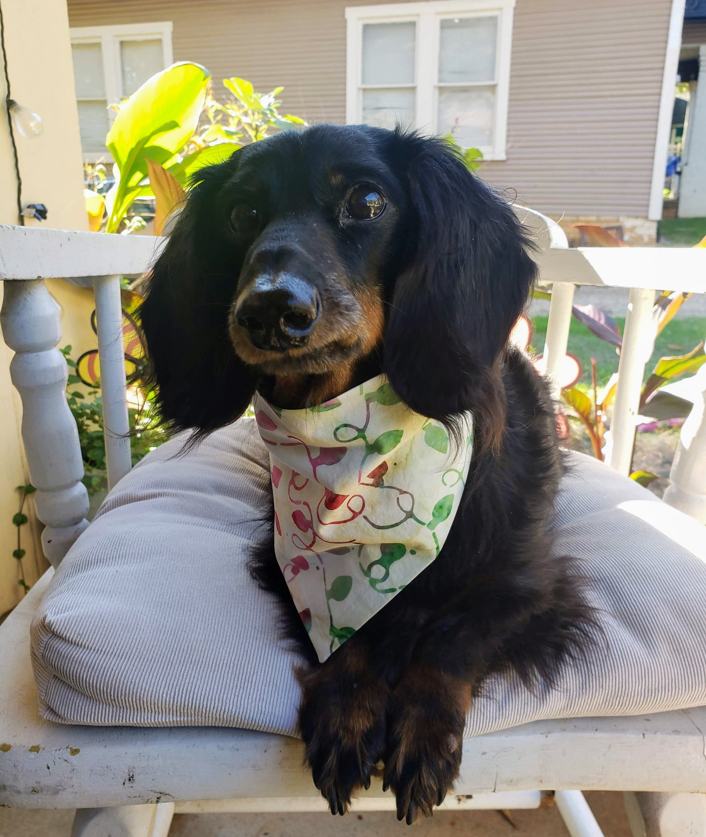 Clip on Dog Bandana With Buckle Pet Cat Bandanna Scarf Christmas Lights Batik Cream Red Green String Lights Holiday Winter Handmade to Order