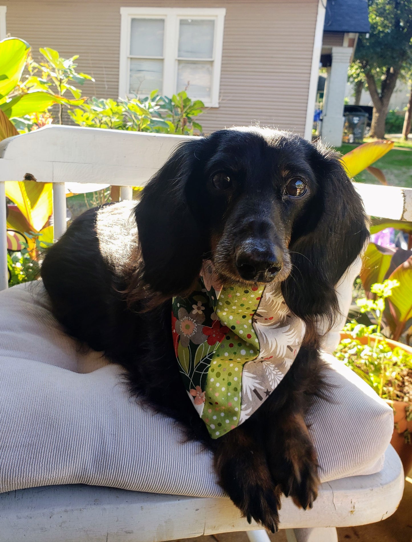 Clip on Dog Bandana With Buckle Pet Cat Bandanna Scarf Pieced Christmas Floral, Trees, Dots, Exclusive Specialty Holiday Winter Handmade to Order