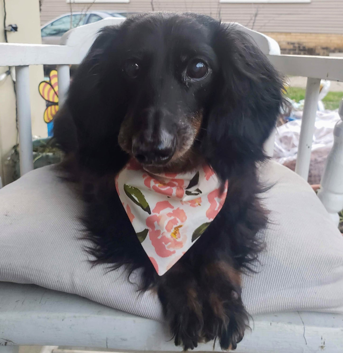 Clip on Dog Bandana With Buckle Pet Cat Bandanna Scarf Peach Roses Floral Flowers Print Handmade to Order