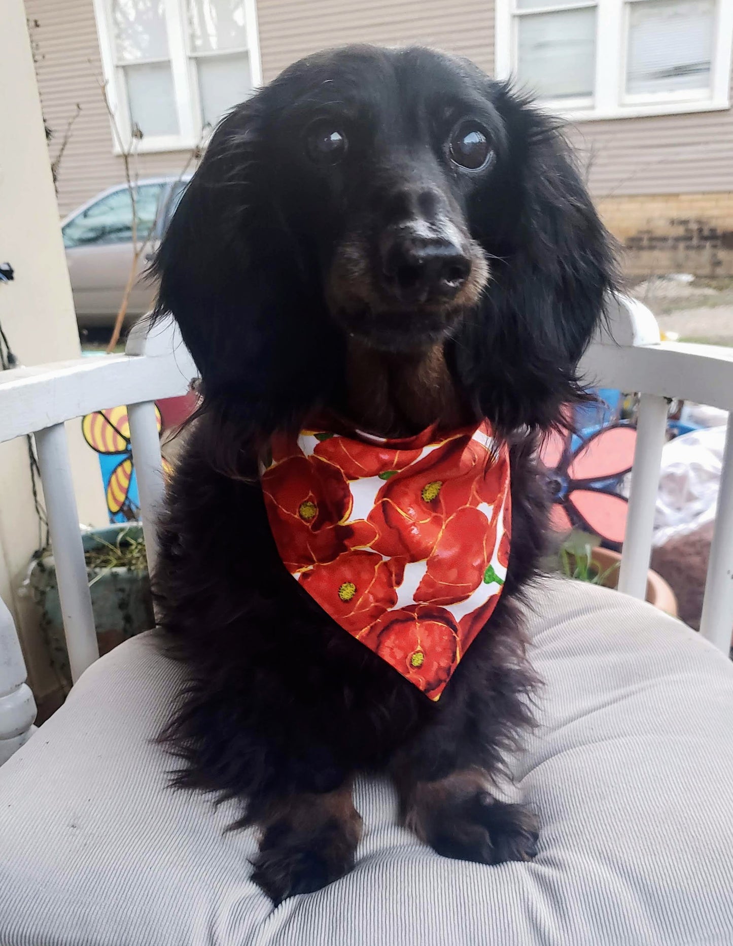 Clip on Dog Bandana With Buckle Pet Cat Bandanna Scarf Springtime Floral Red Poppies Print Handmade to Order