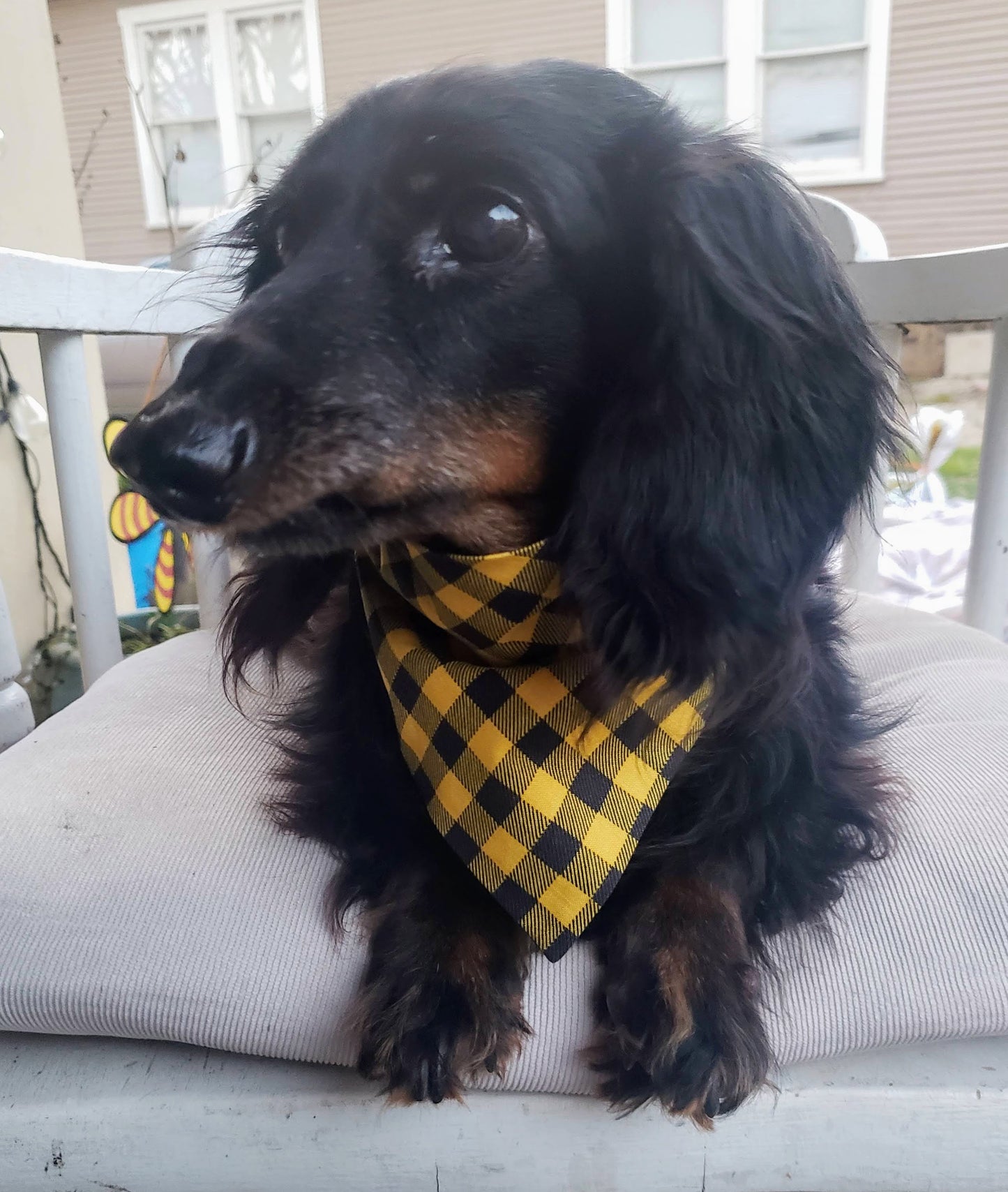Clip on Dog Bandana With Buckle Pet Cat Bandanna Scarf Yellow Black Gingham Plaid Check Winter Handmade to Order
