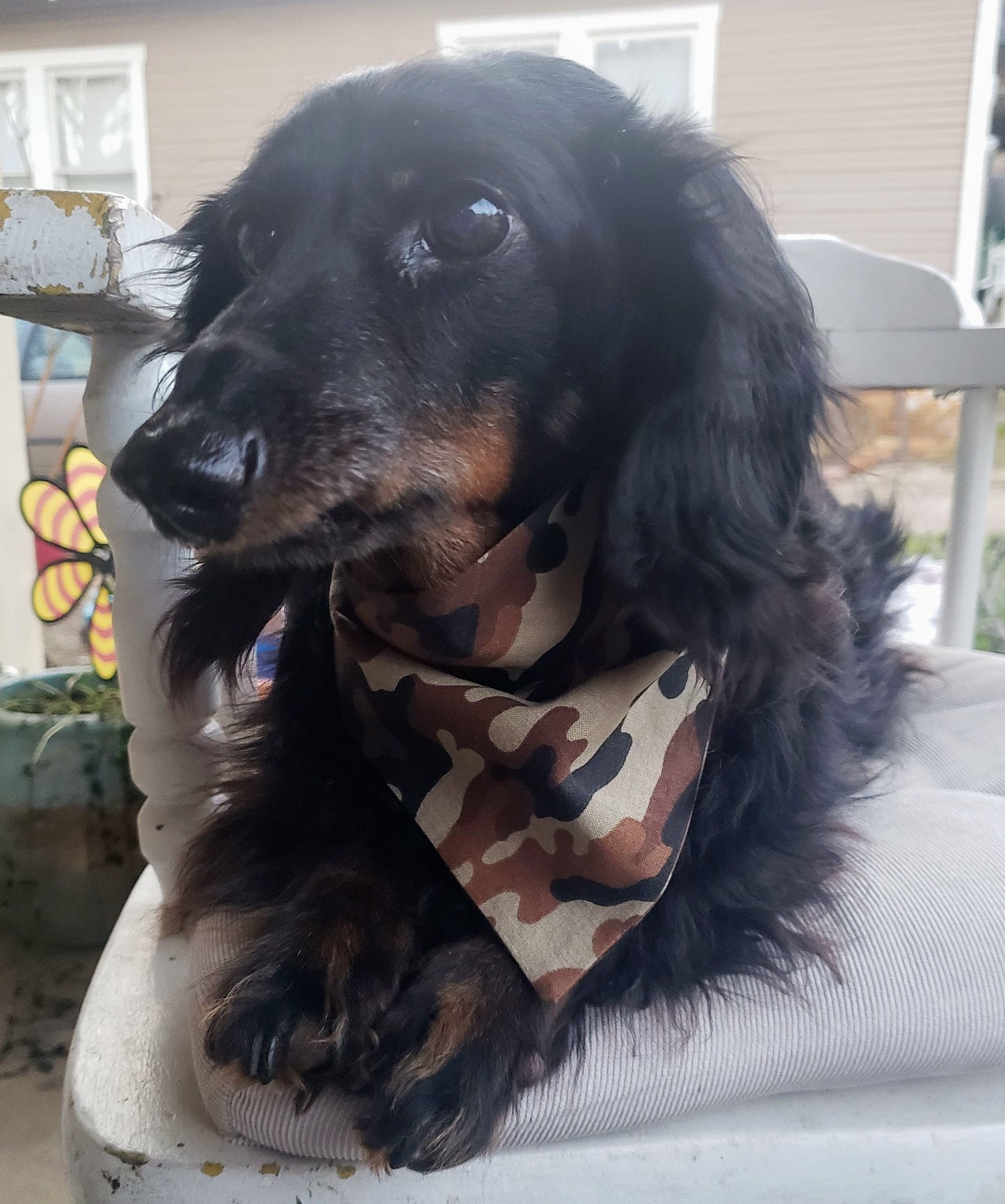 Clip on Dog Bandana With Buckle Pet Cat Bandanna Scarf Brown Tan Desert Camo Print Handmade to Order
