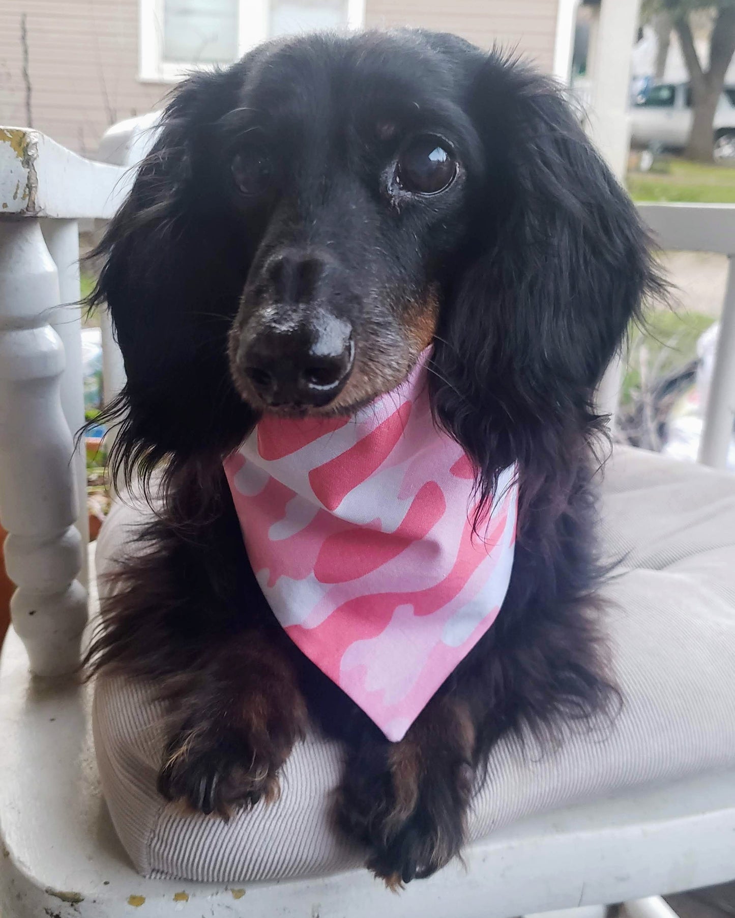 Clip on Dog Bandana With Buckle Pet Cat Bandanna Scarf Pink Girly Feminine Lady Princess Camo Print Handmade to Order