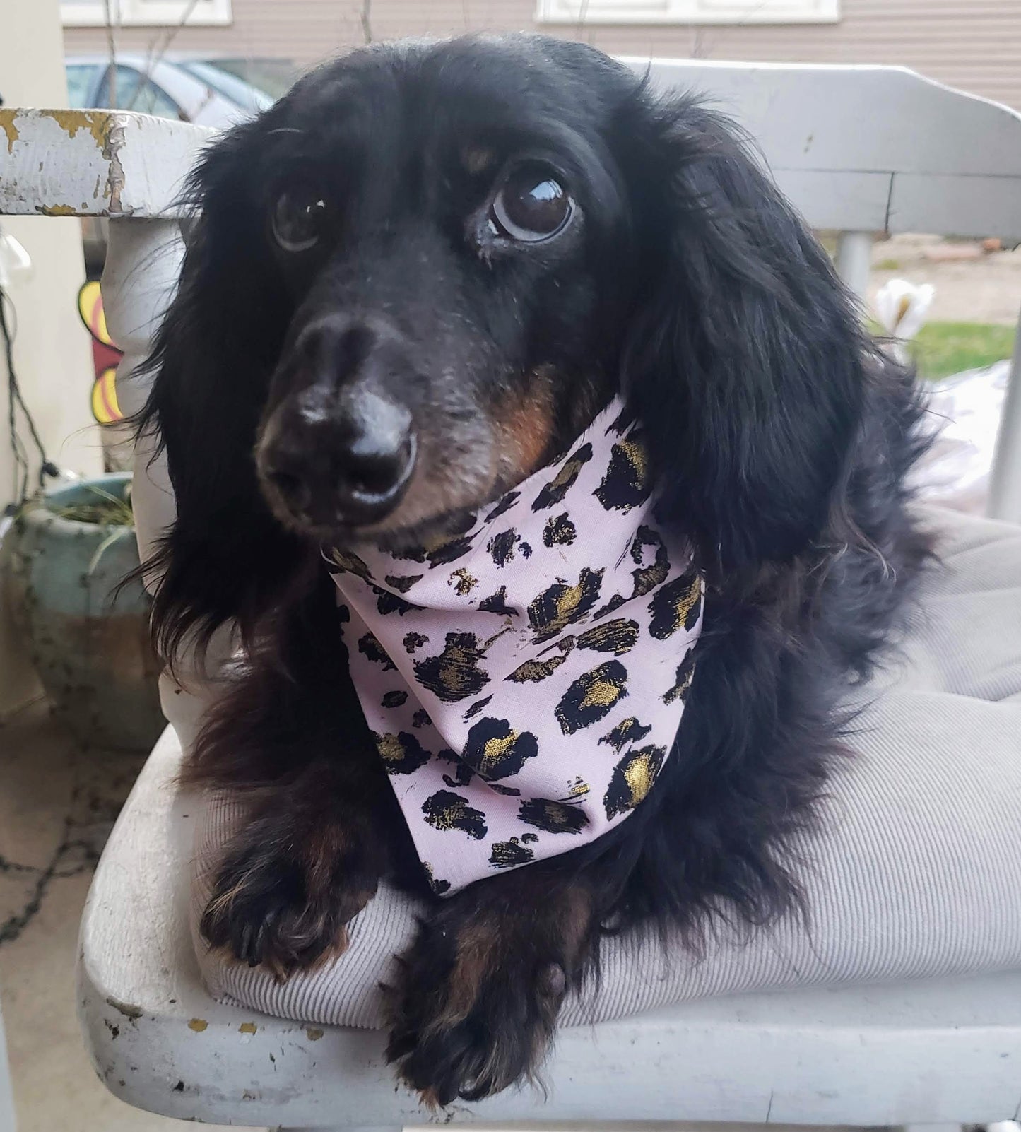 Clip on Dog Bandana With Buckle Pet Cat Bandanna Scarf Pink Gold Leopard Fun Girly Feminine Animal Print Handmade to Order