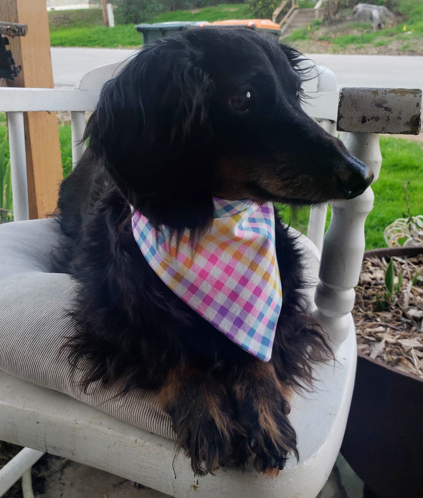 Clip on Dog Bandana With Buckle Pet Cat Bandanna Scarf Easter Pastel Rainbow Plaid Spring Handmade to Order