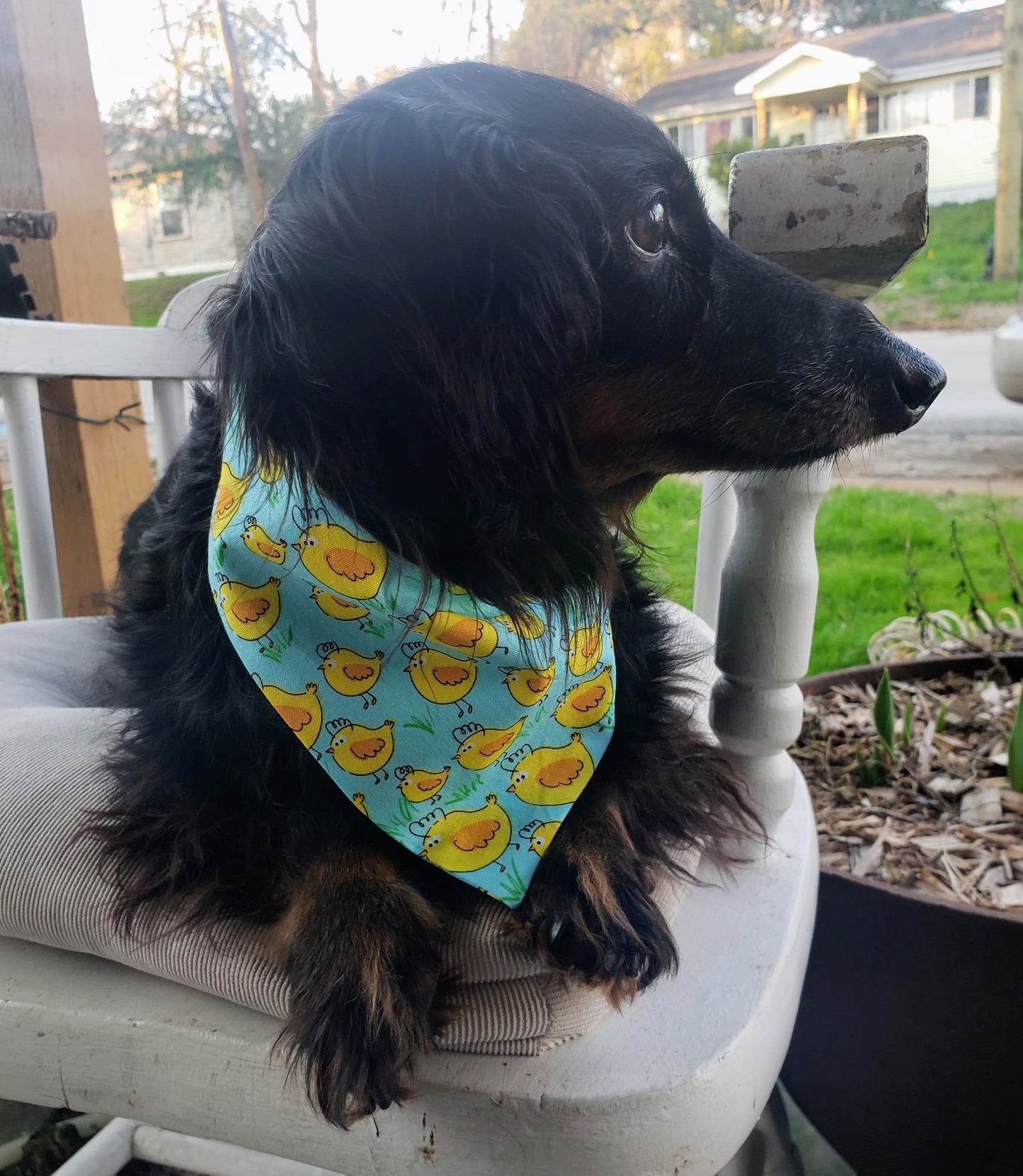 Easter Chicks Spring Chickens Clip on Dog Bandana With Buckle Pet Cat Bandanna Handmade to Order