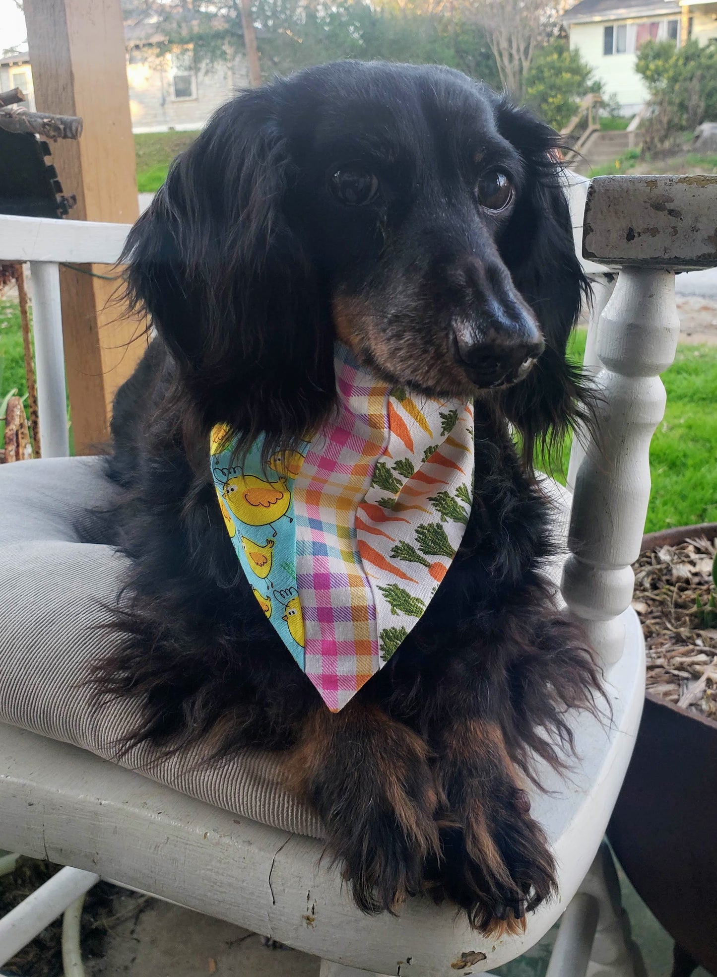 Clip on Dog Bandana With Buckle Pet Cat Bandanna Scarf Easter Chicks Carrots Exclusive Pieced Spring Handmade to Order