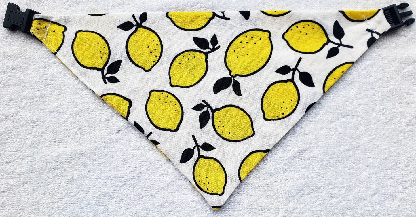 Clip on Dog Bandana With Buckle Pet Cat Bandanna Scarf Yellow Lemons Citrus Fruits Summer Handmade to Order
