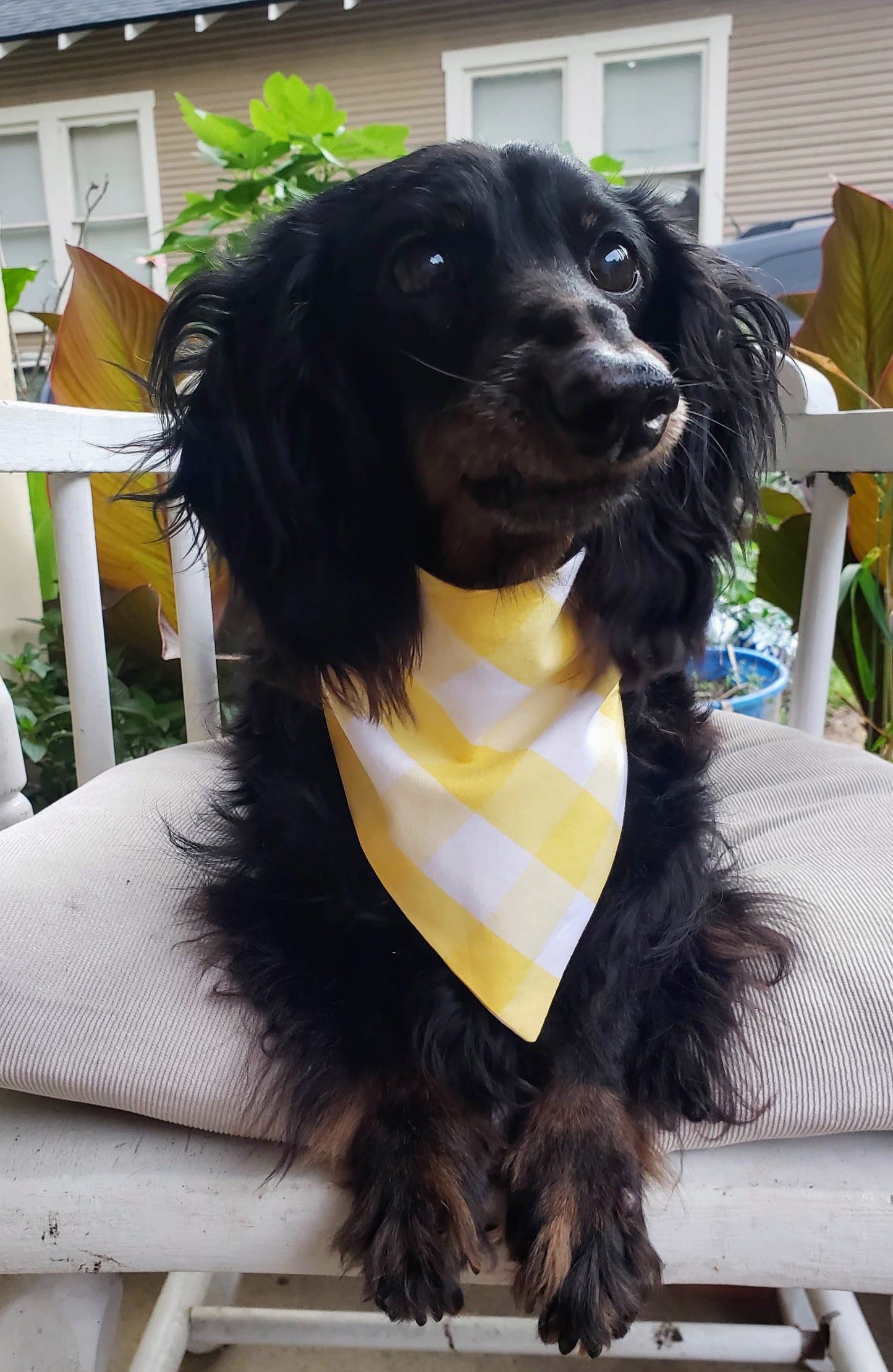 Clip on Dog Bandana With Buckle Pet Cat Bandanna Scarf Lemon Bright Yellow White Buffalo Plaid Check Handmade