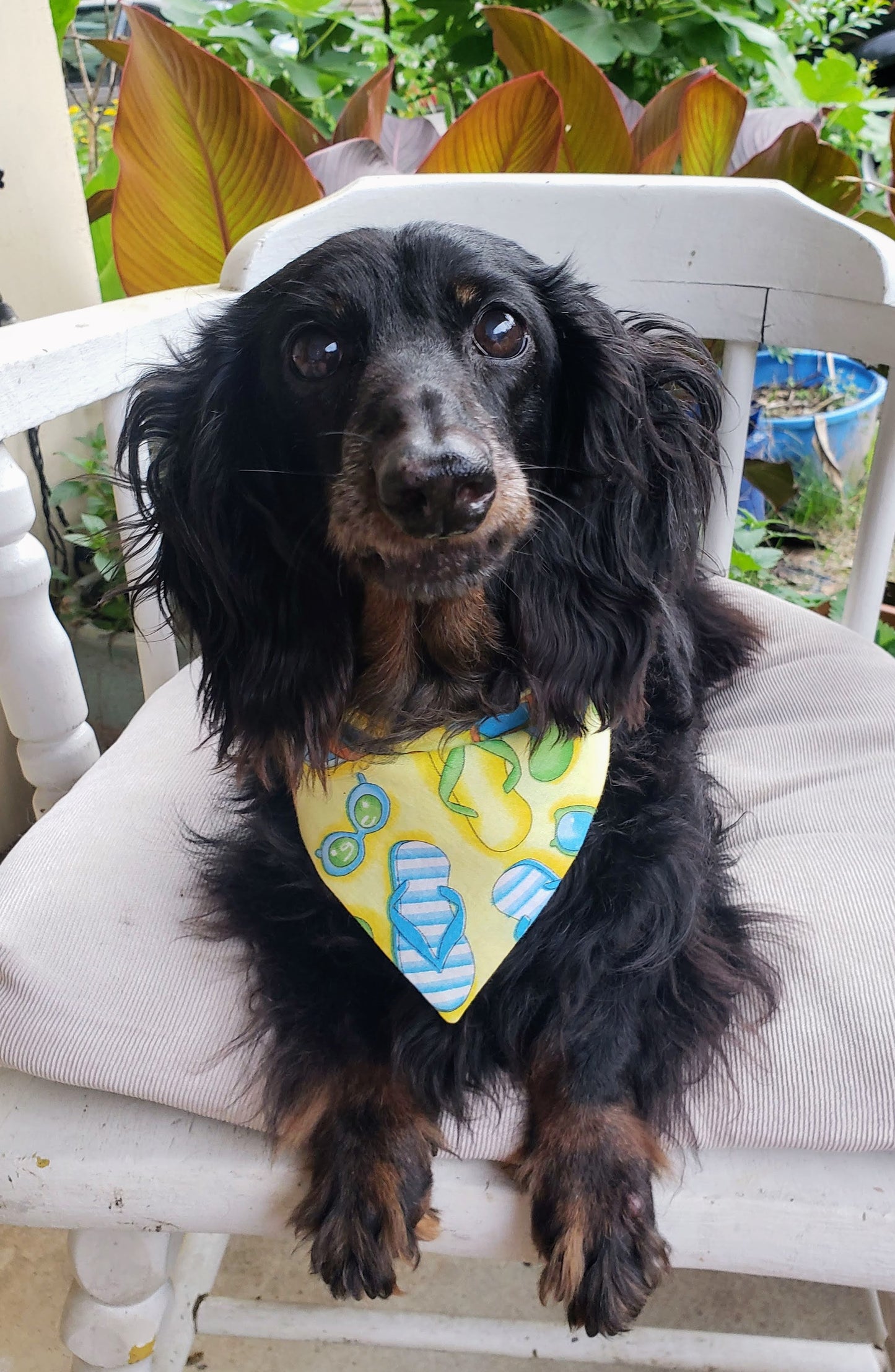 Clip on Dog Bandana With Buckle Pet Cat Bandanna Scarf Yellow Beach Sunglasses Flip Flops Summer Handmade to Order
