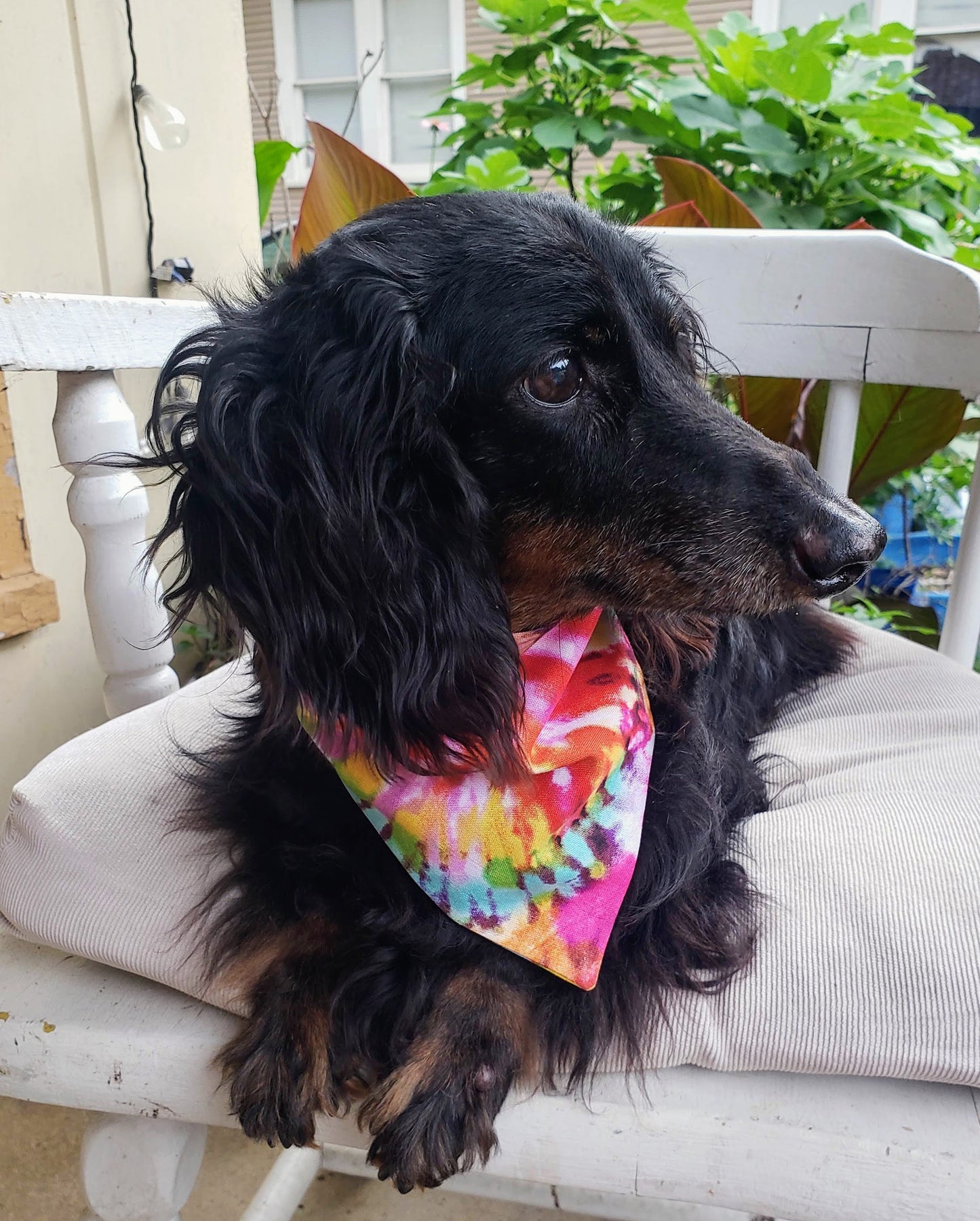 Clip on Dog Bandana With Buckle Pet Cat Bandanna Scarf Tie Dye Rainbow Pink Colorful Summer Print Handmade to Order