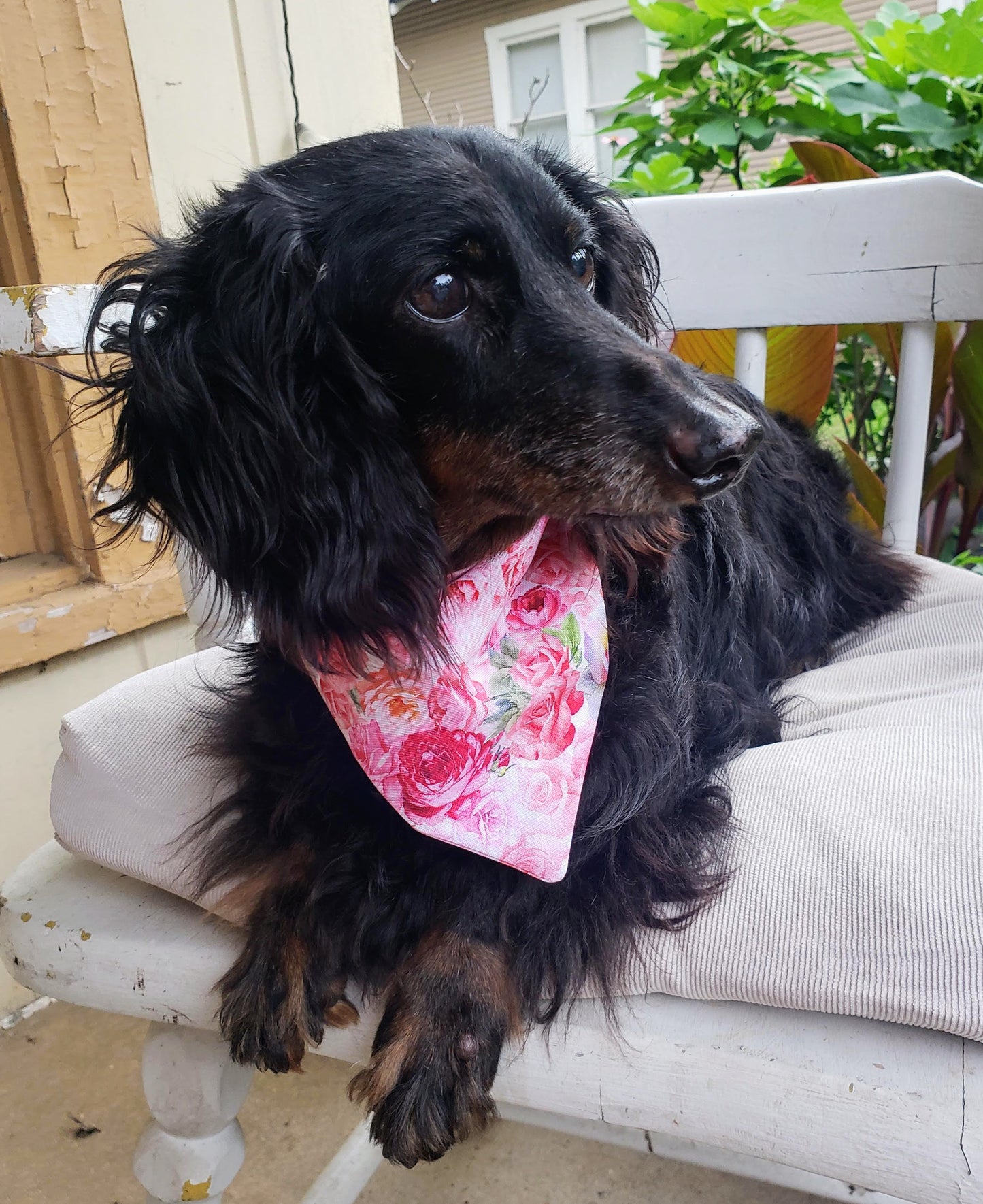 Clip on Dog Bandana With Buckle Pet Cat Bandanna Scarf Pink Roses Floral Flower Print Handmade to Order