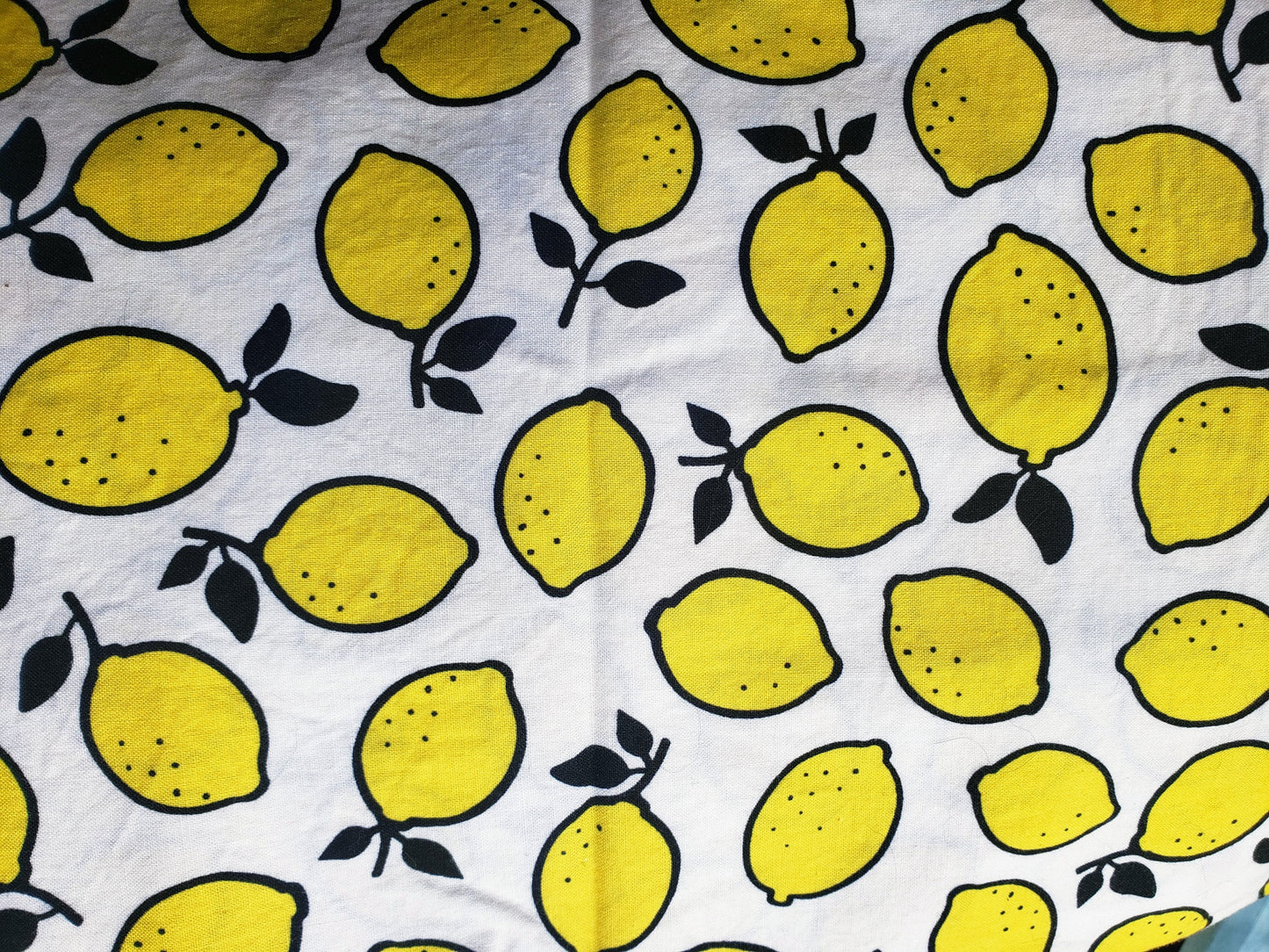Clip on Dog Bandana With Buckle Pet Cat Bandanna Scarf Yellow Lemons Citrus Fruits Summer Handmade to Order