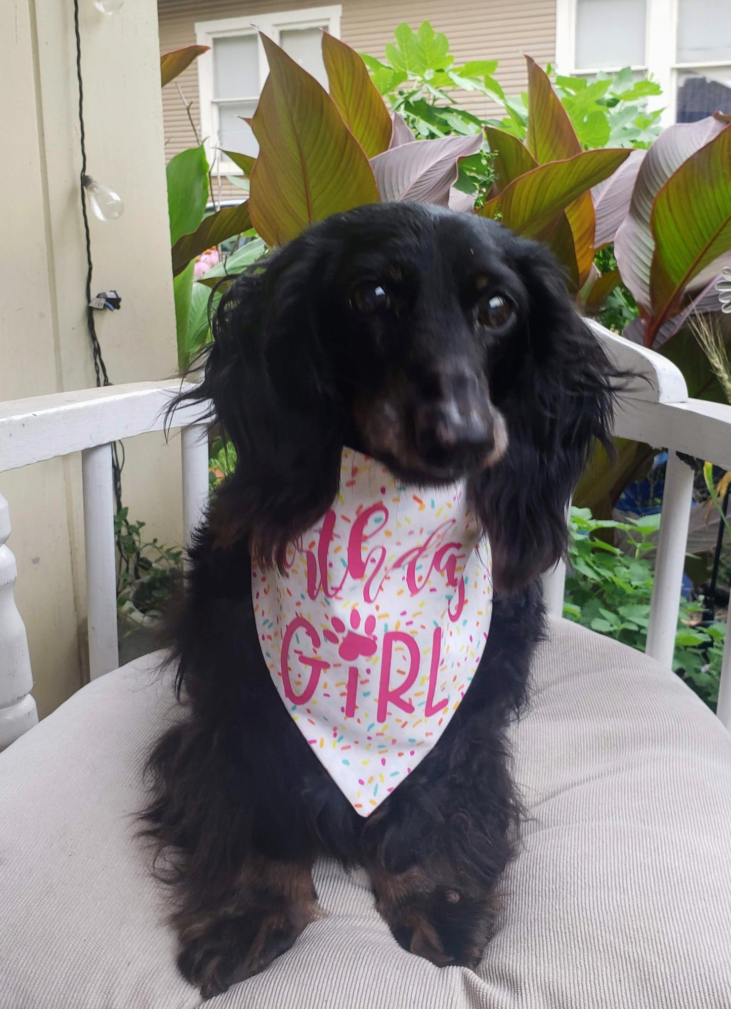 Clip on Dog Bandana With Buckle Pet Cat Bandanna Scarf Pink Happy Birthday Girl Surprise Handmade to Order
