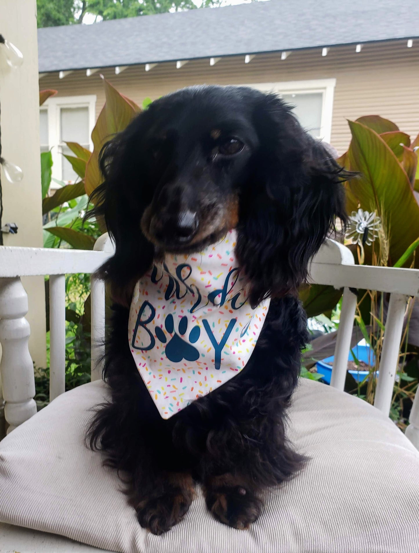 Clip on Dog Bandana With Buckle Pet Cat Bandanna Scarf Blue Happy Birthday Boy Surprise Handmade to Order