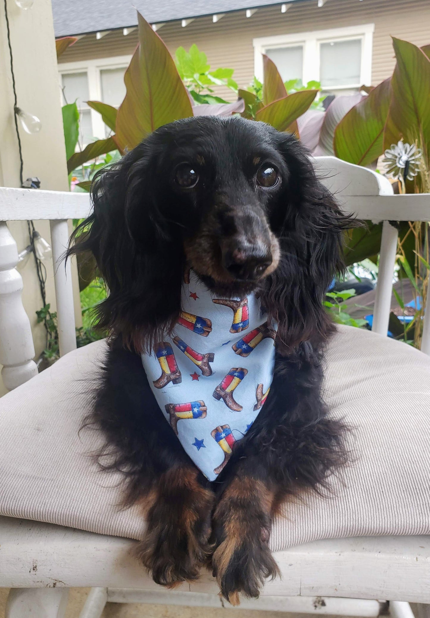 Clip on Dog Bandana With Buckle Pet Cat Bandanna Texas Cowboy Boots Texan State Pride Handmade to Order