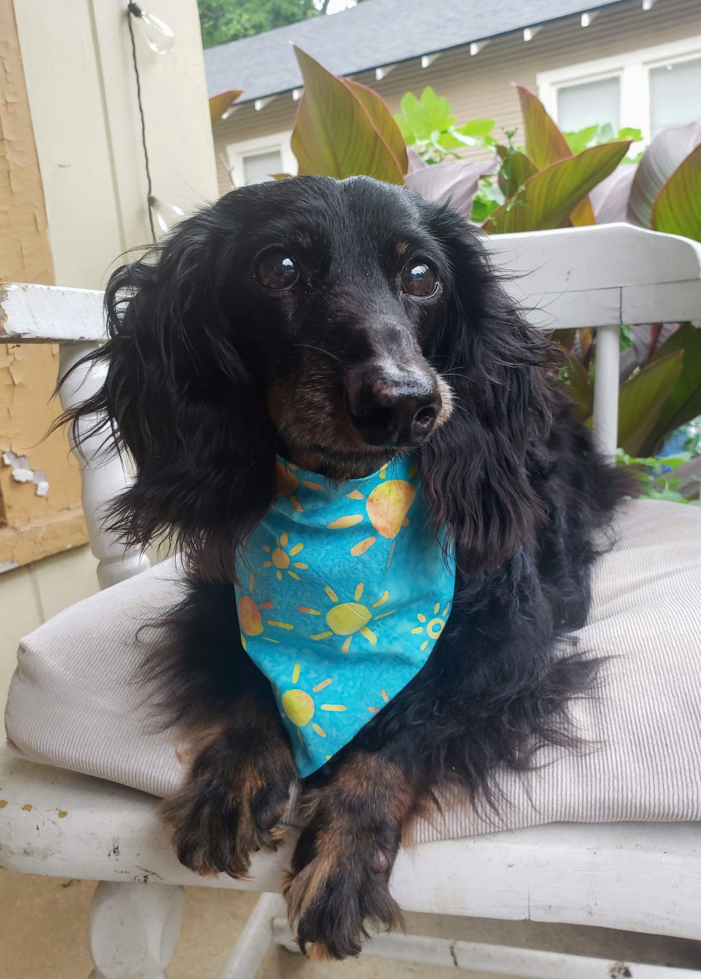 Clip on Dog Bandana With Buckle Pet Cat Bandanna Scarf Blue Skies Yellow Sun Suns Sunshine Batik Handmade to Order