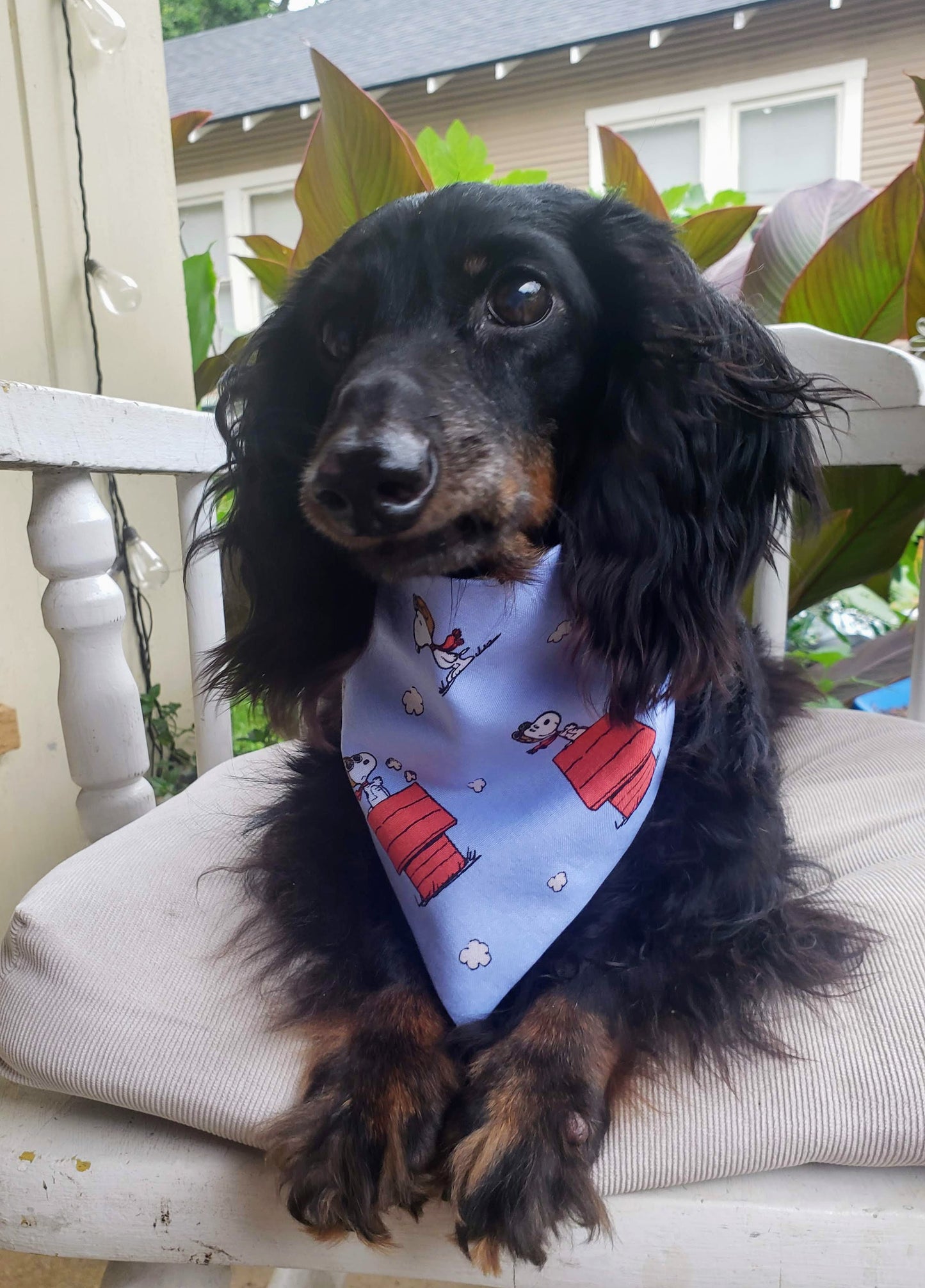Clip on Dog Bandana With Buckle Pet Cat Bandanna Snoopy Dog House Red Baron Peanuts Handmade to Order