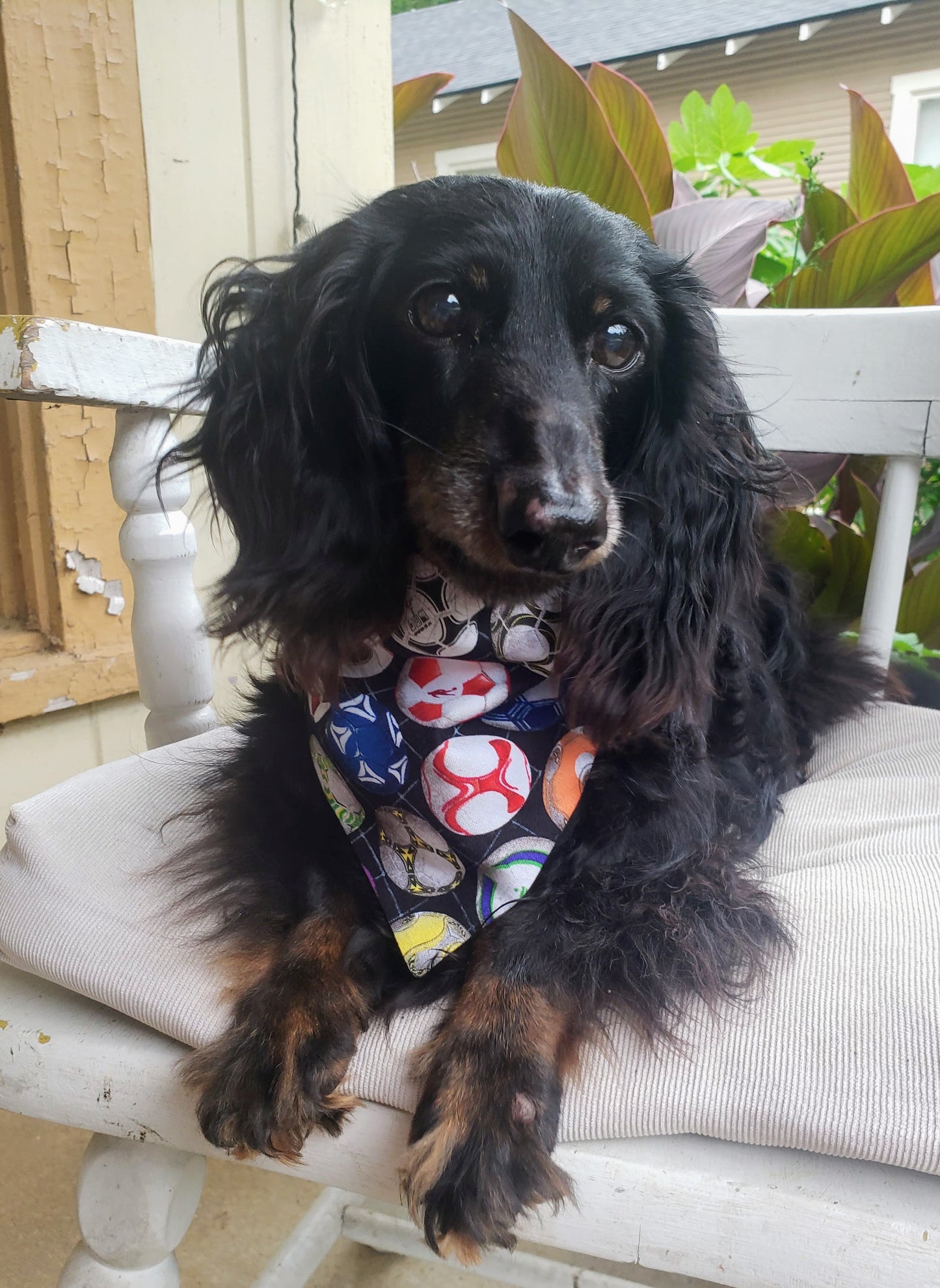 Clip on Dog Bandana With Buckle Pet Cat Bandanna Scarf Soccer Balls Handmade to Order