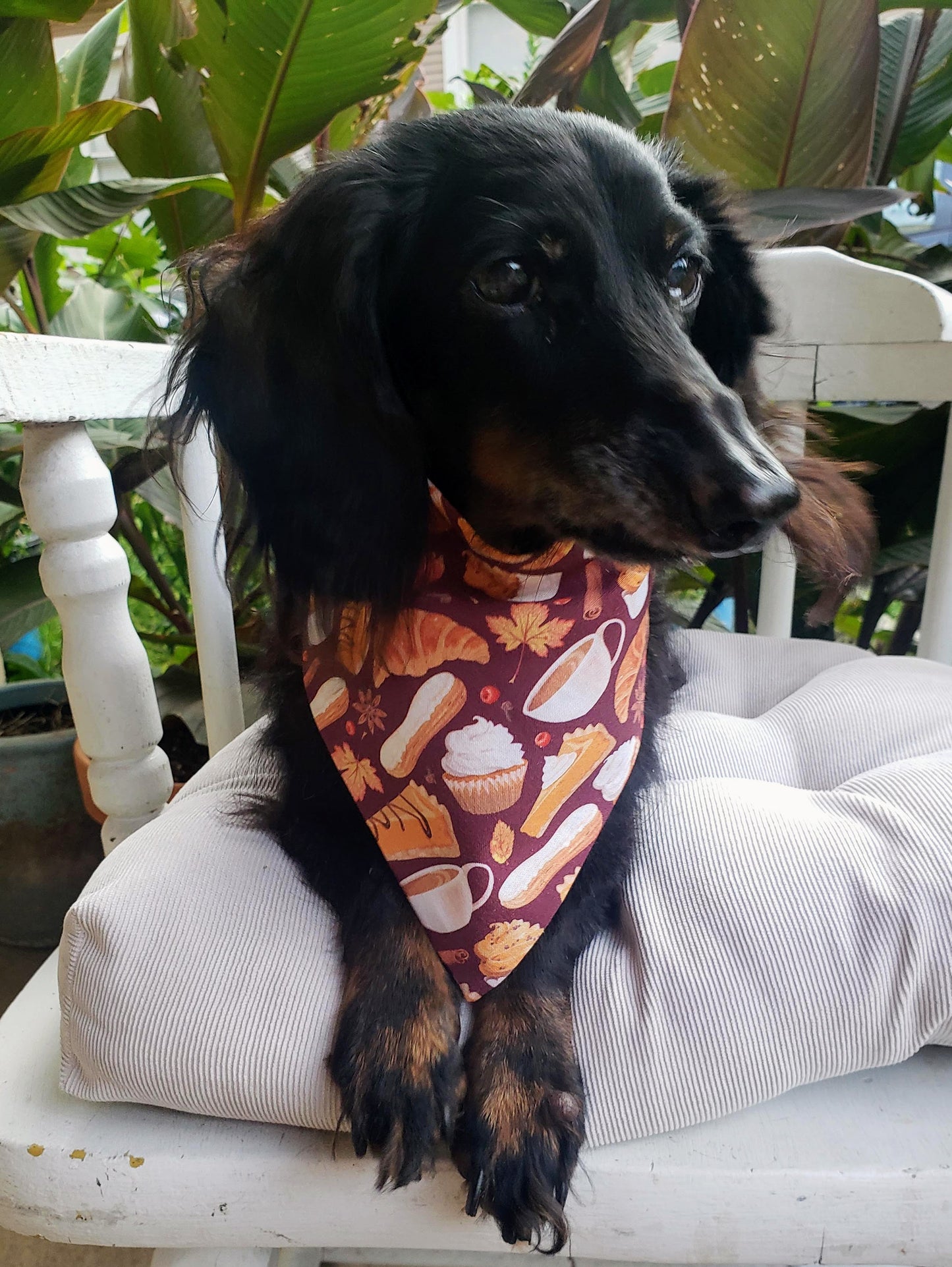 Pumpkin Pie Fall Desserts Thanksgiving Sweets Treats Clip on Dog Bandana With Buckle Pet Cat Bandanna Handmade to Order