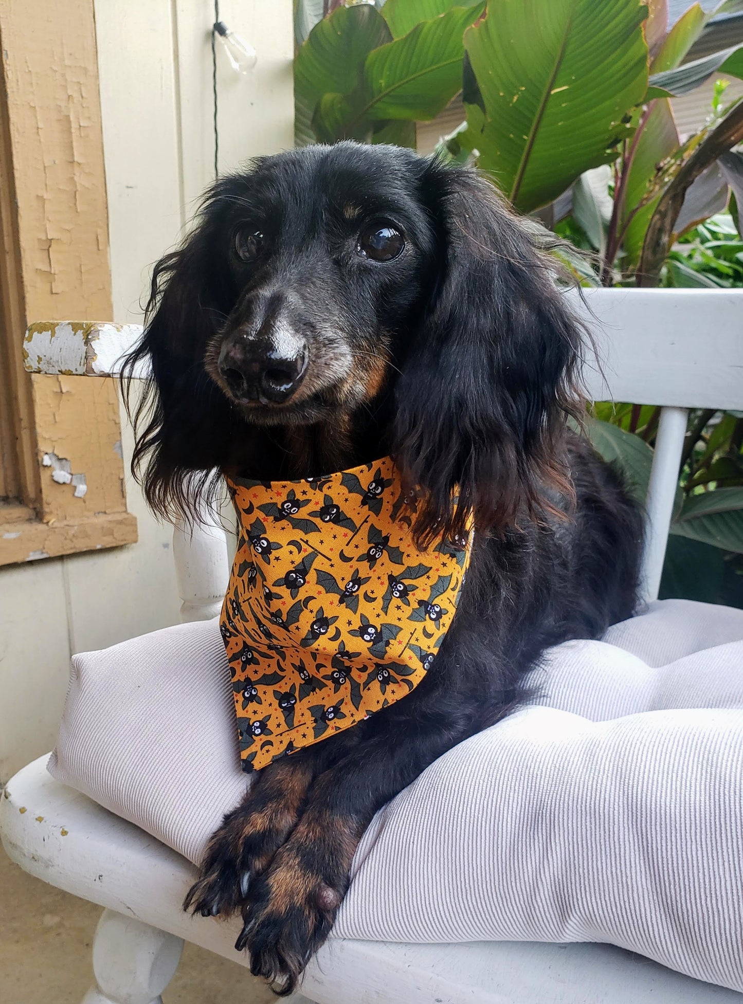 Silly Bats Halloween Fall Autumn Clip on Dog Bandana With Buckle Pet Cat Bandanna Handmade to Order