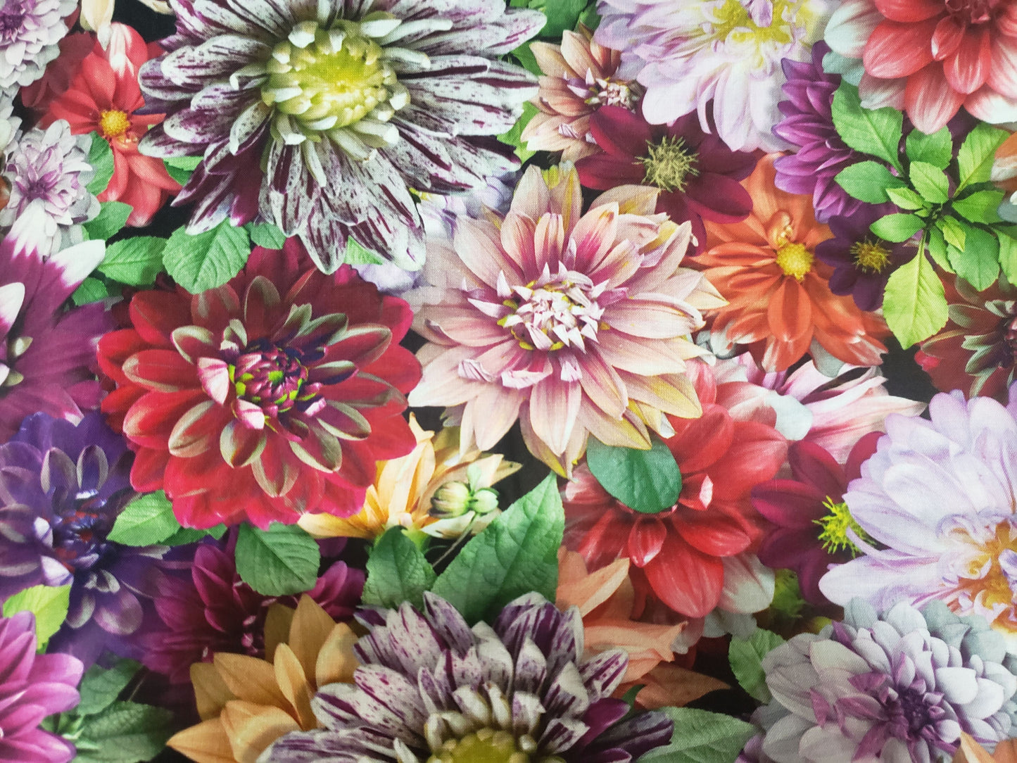 Clip on Dog Bandana With Buckle Pet Cat Bandanna Dahlias Flowers Floral Colorful Spring Summer Handmade to Order