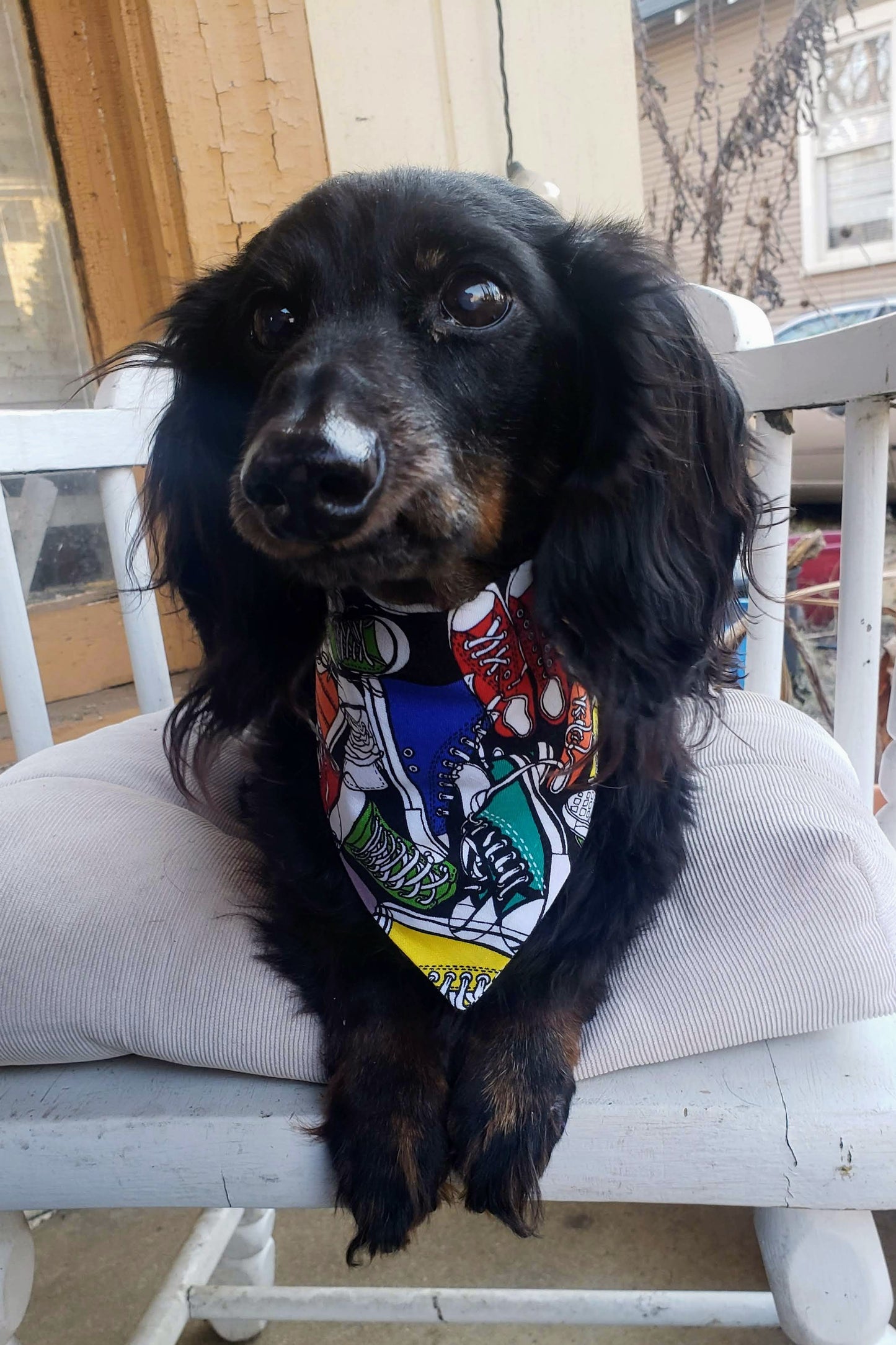 Clip on Dog Bandana With Buckle Pet Cat Bandanna Hi Tops Sneakers Chucks Shoes Handmade to Order