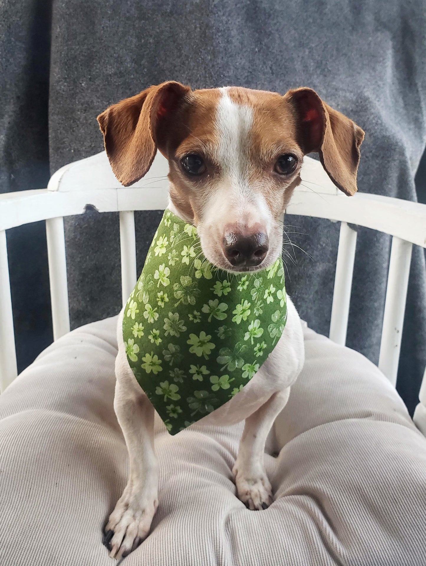 Clip on Dog Bandana With Buckle Pet Cat Bandanna Scarf St. Patrick's Day Lucky Green Shamrocks Handmade to Order