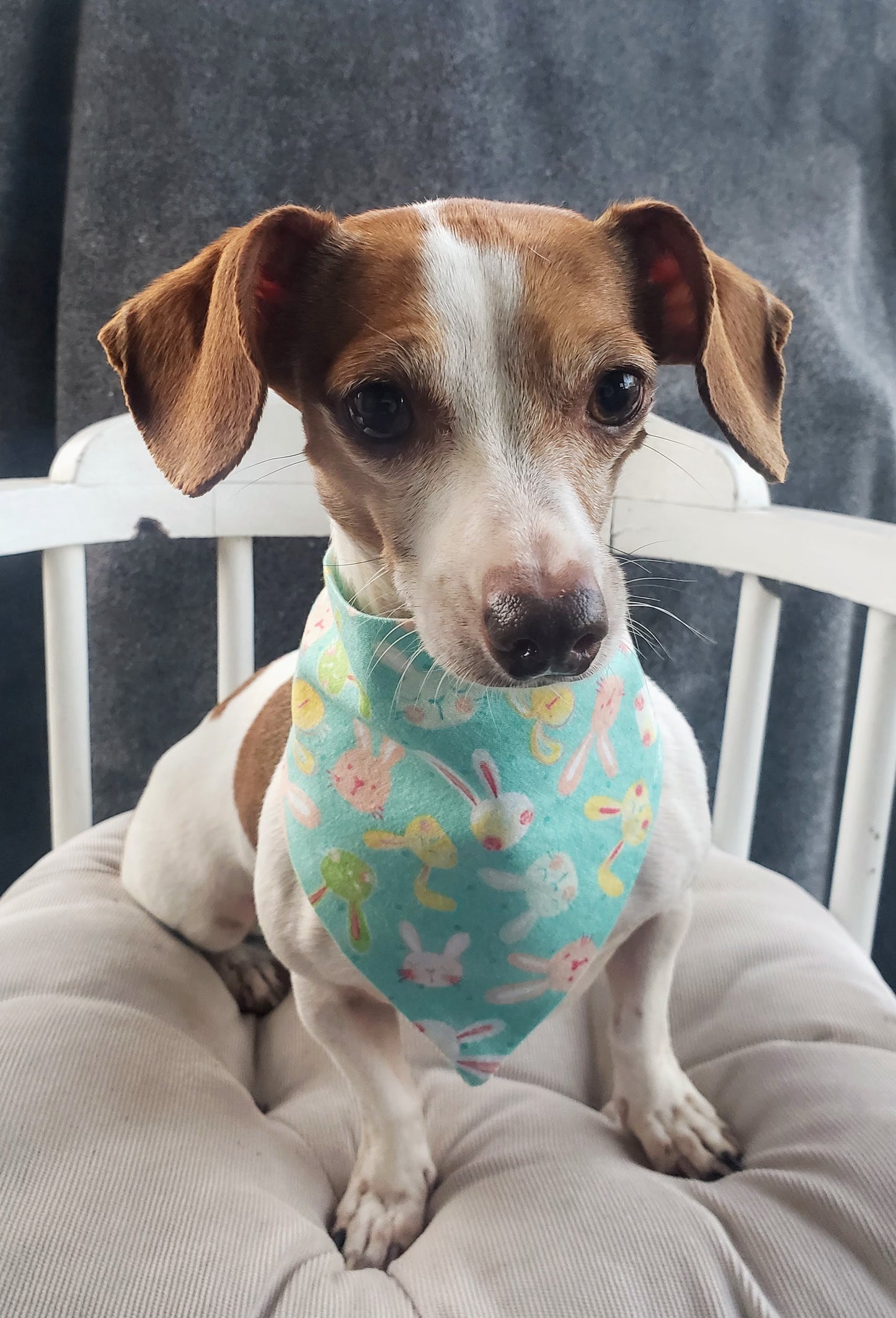 Clip on Dog Bandana With Buckle Pet Cat Bandanna Scarf Easter Bunnies Rabbits Faces Pastels Spring Handmade to Order