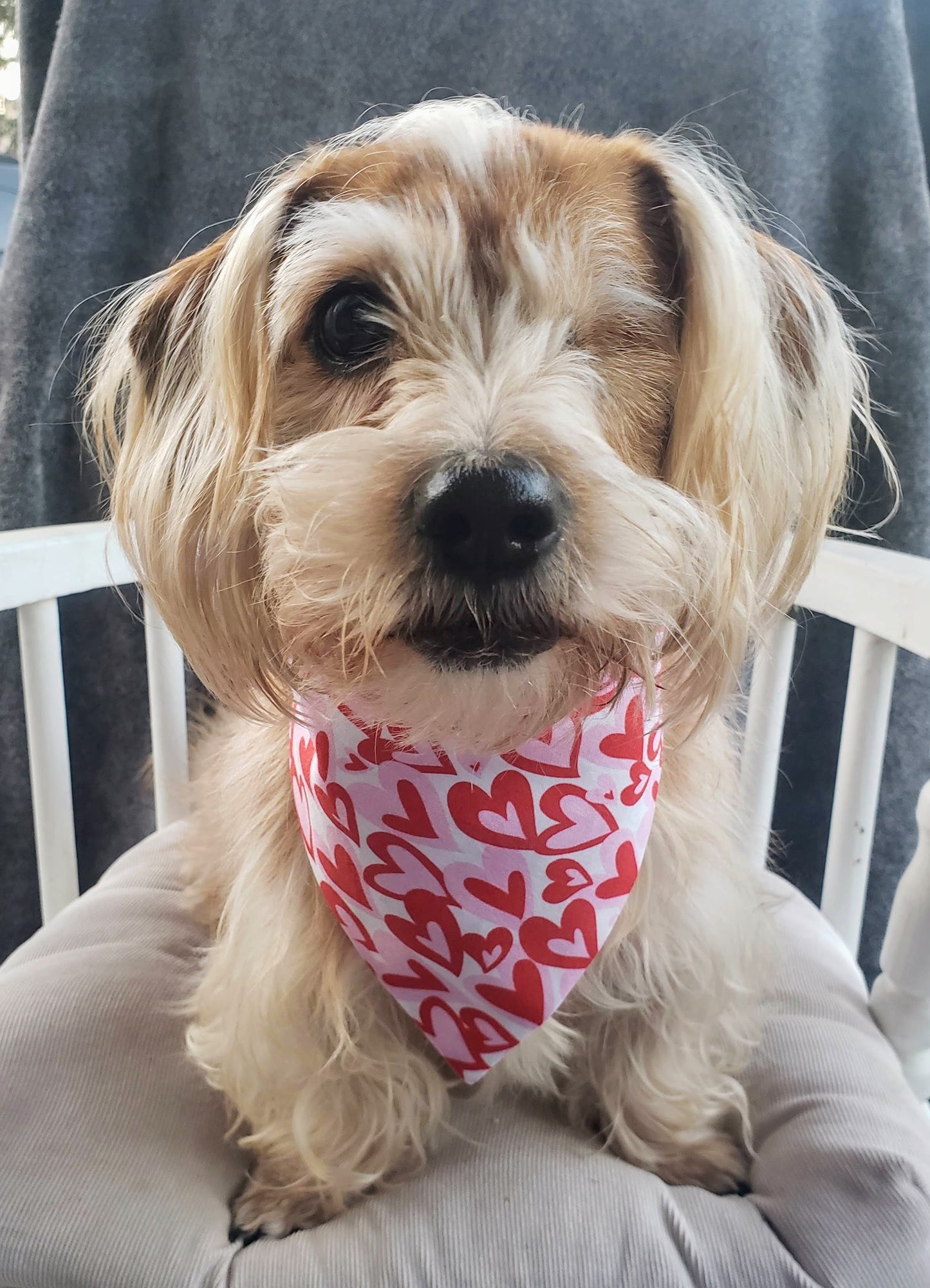 Clip on Dog Bandana With Buckle Pet Cat Bandanna Scarf Red Pink Hearts Valentine's Day Love Handmade to Order