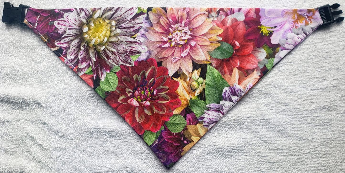 Clip on Dog Bandana With Buckle Pet Cat Bandanna Dahlias Flowers Floral Colorful Spring Summer Handmade to Order