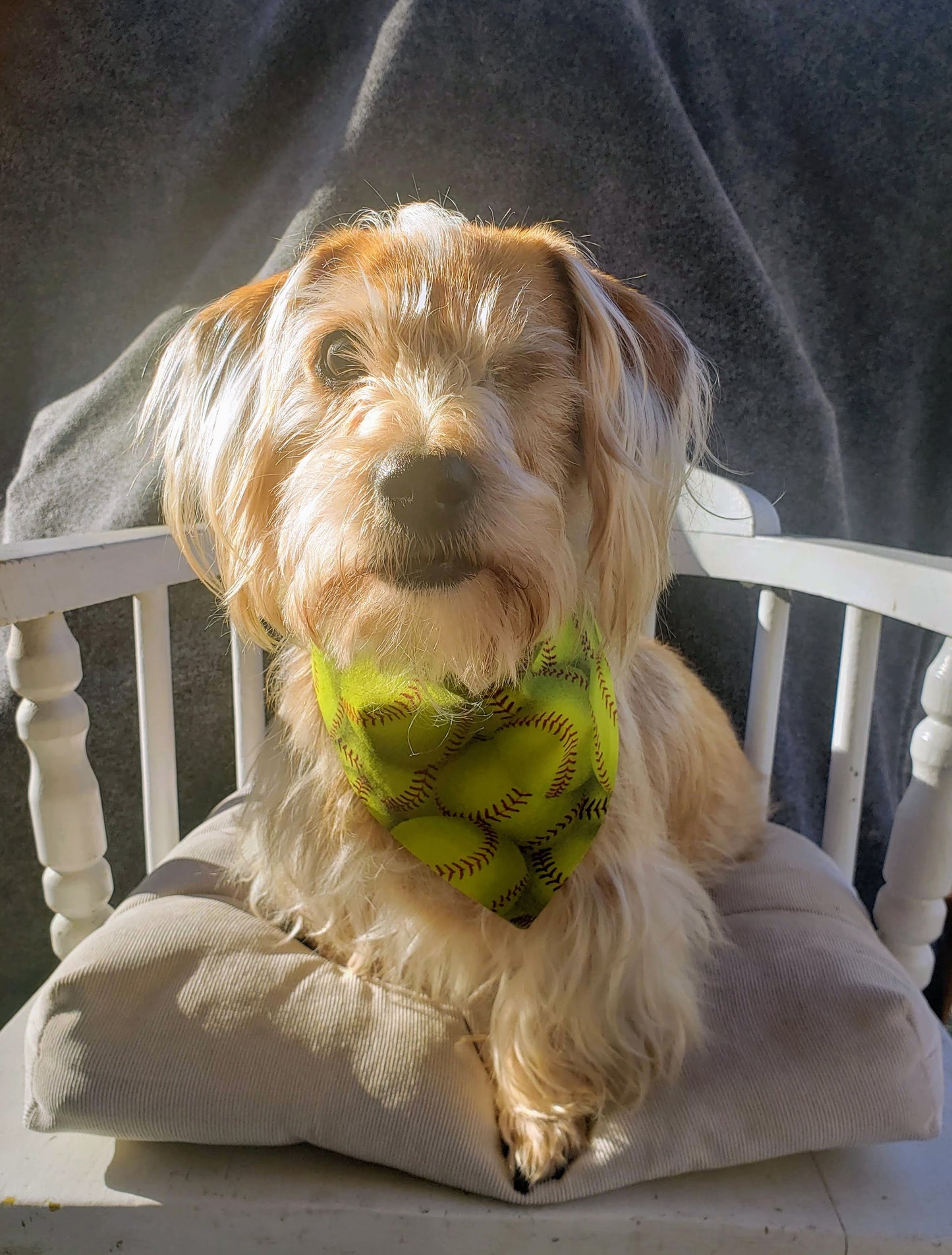 Clip on Dog Bandana With Buckle Pet Cat Bandanna Softballs Handmade to Order