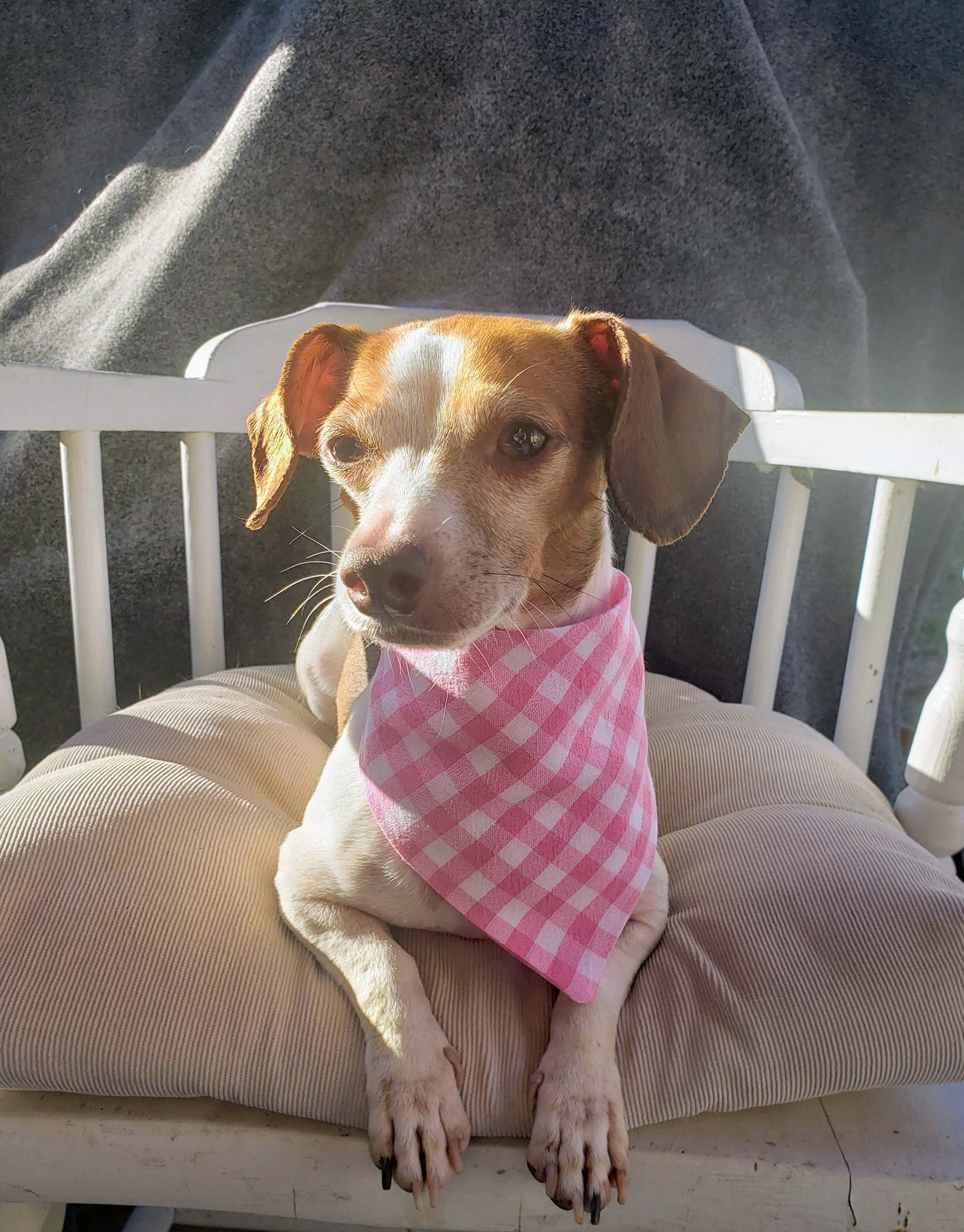 Clip on Dog Bandana With Buckle Pet Cat Bandanna Baby Pink Quarter Inch Gingham Plaid Handmade to Order