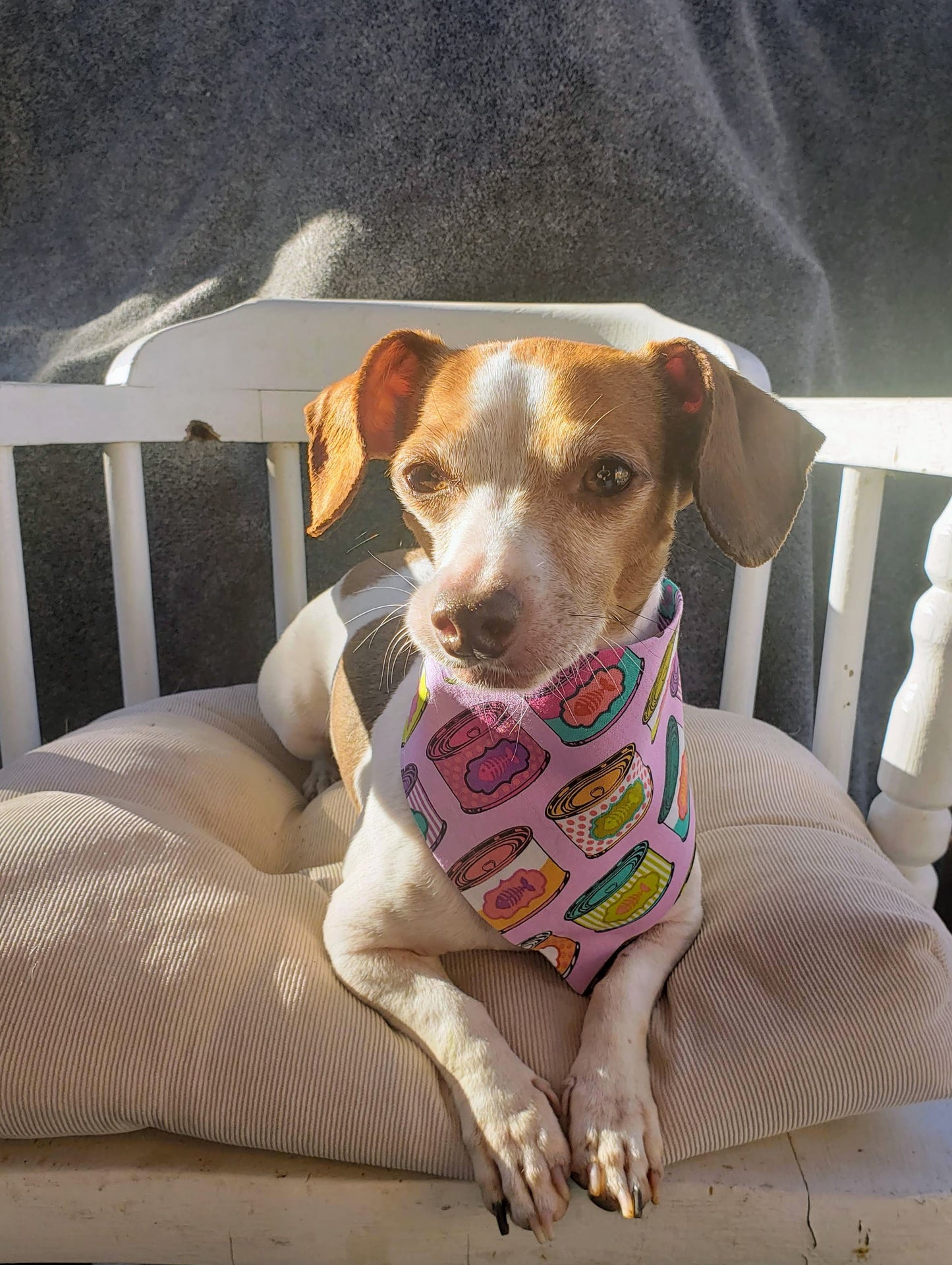 Clip on Dog Bandana With Buckle Pet Cat Bandanna Cats Tuna Cans Handmade to Order