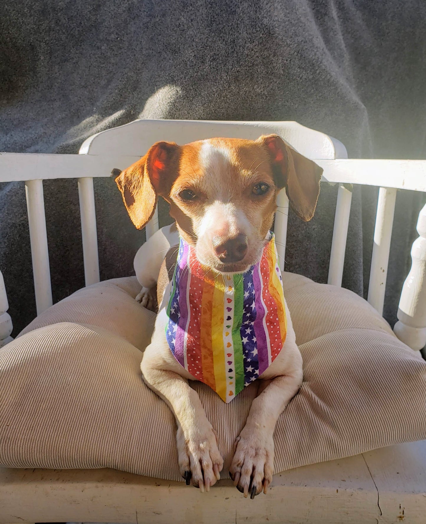Clip on Dog Bandana With Buckle Pet Cat Bandanna Rainbow Stars & Hearts PRIDE Stripes Multicolor Handmade to Order