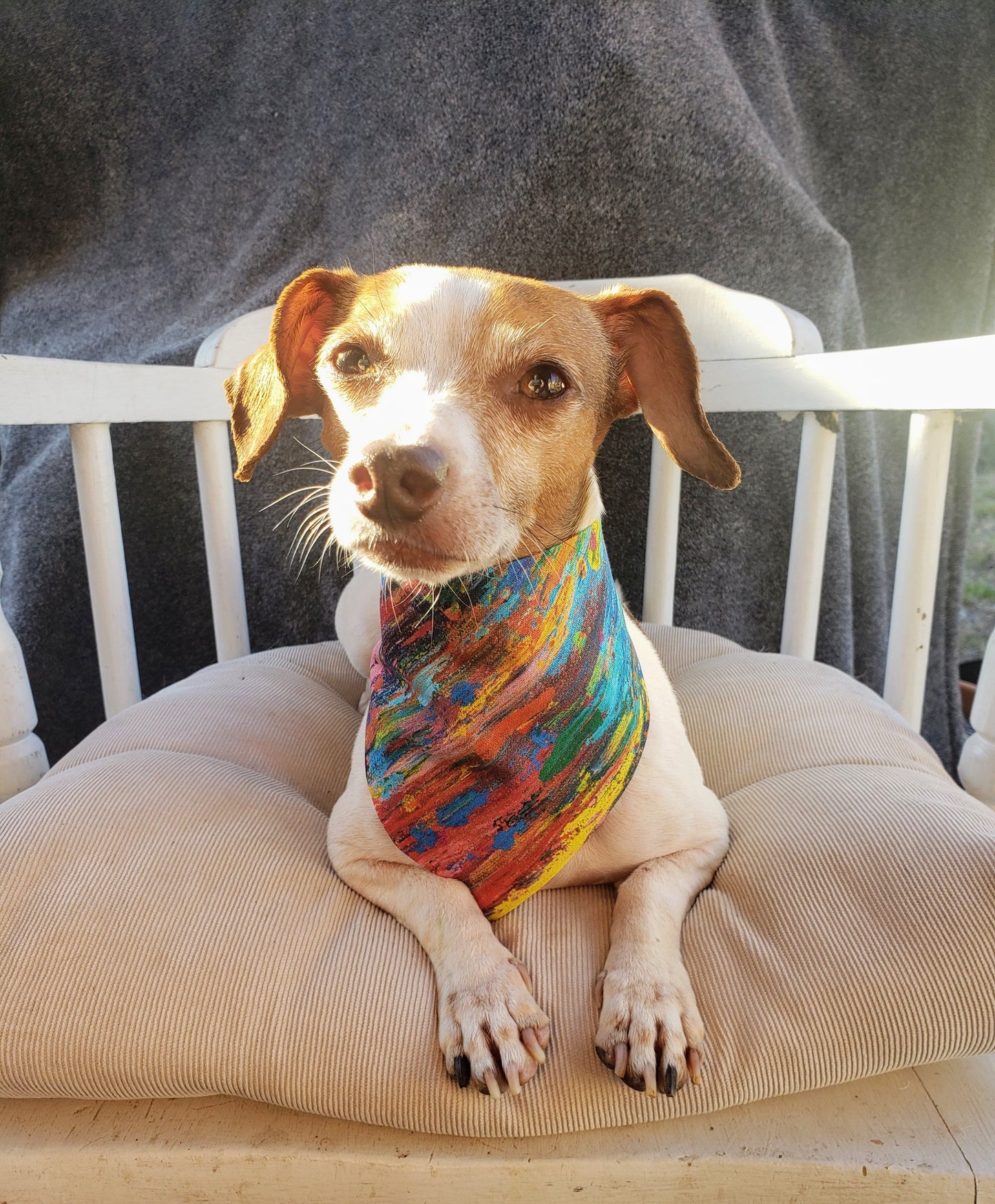 Clip on Dog Bandana With Buckle Pet Cat Bandanna Paint Paintbrush Strokes Stripes Handmade to Order