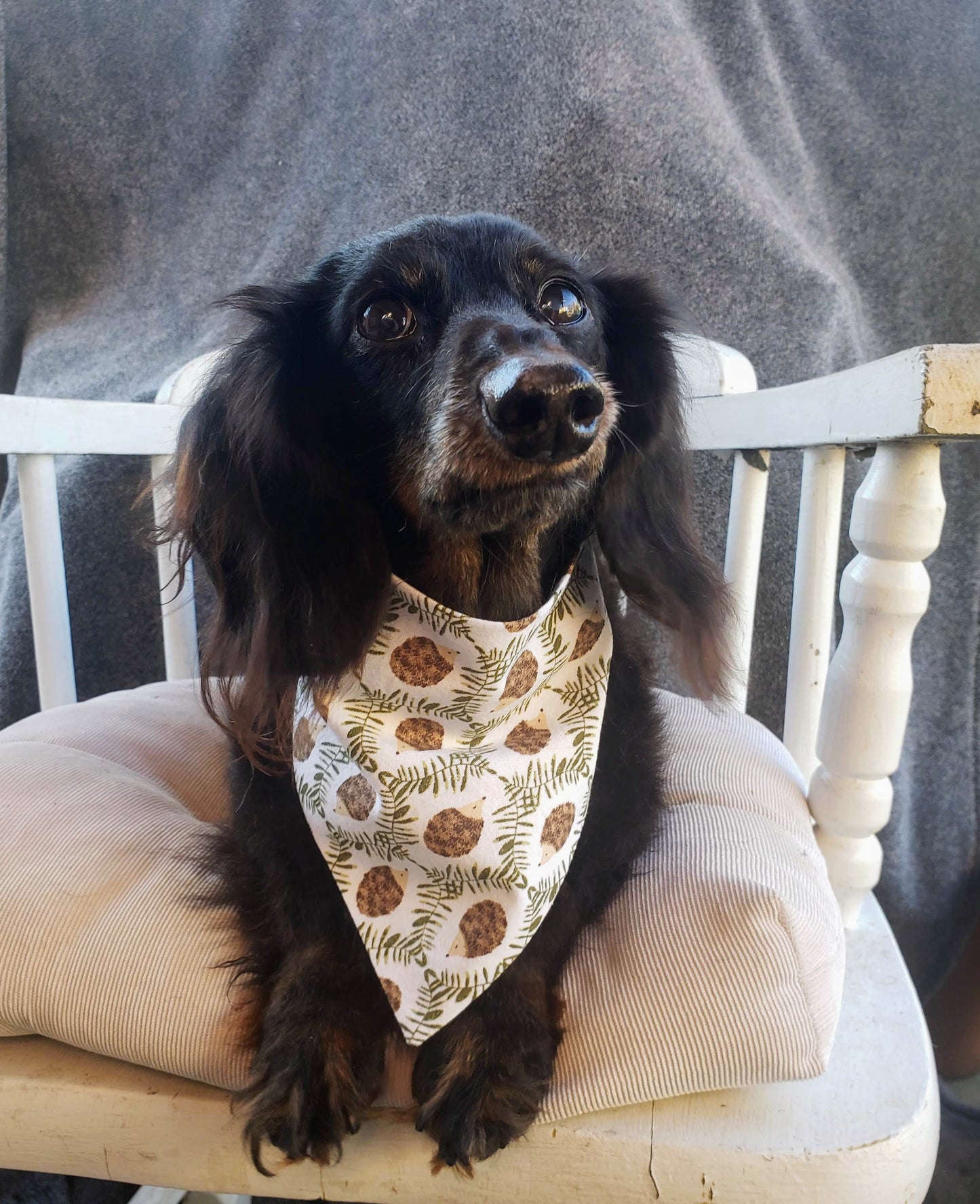 Clip on Dog Bandana With Buckle Pet Cat Bandanna Hedgehog Hedgies Hedgehogs Handmade to Order